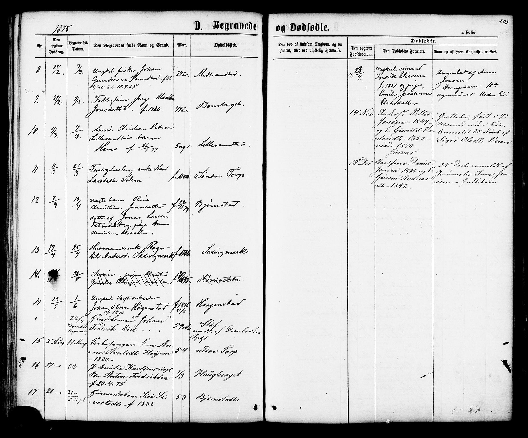 Ministerialprotokoller, klokkerbøker og fødselsregistre - Sør-Trøndelag, SAT/A-1456/616/L0409: Parish register (official) no. 616A06, 1865-1877, p. 203