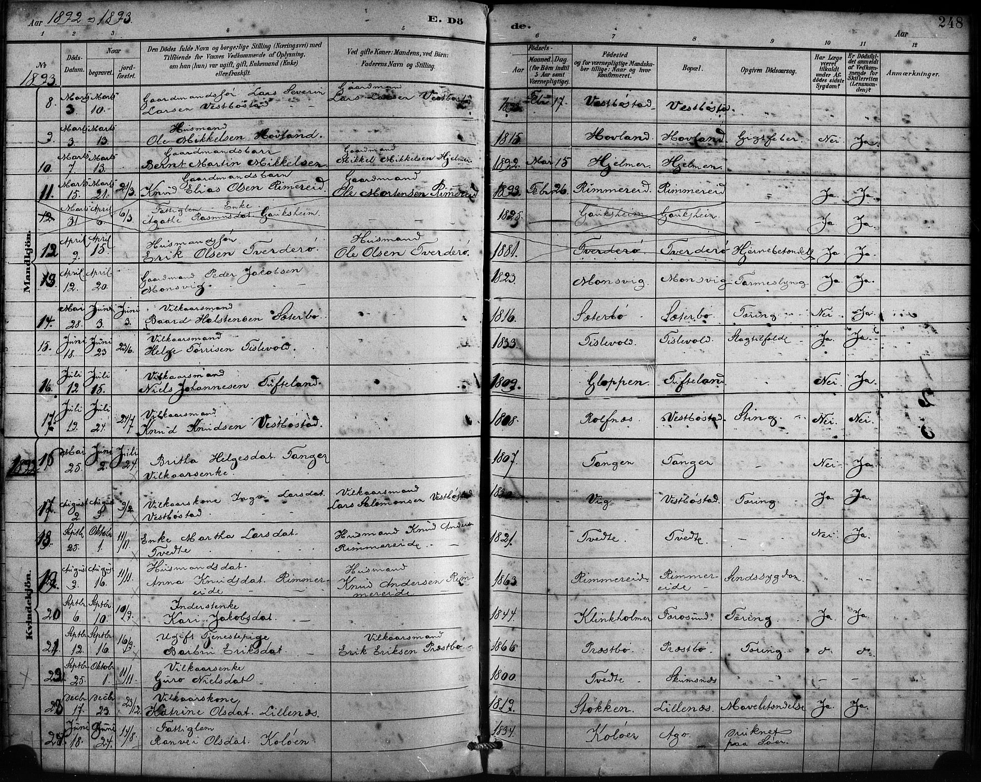 Fitjar sokneprestembete, AV/SAB-A-99926: Parish register (official) no. A 2, 1882-1899, p. 248