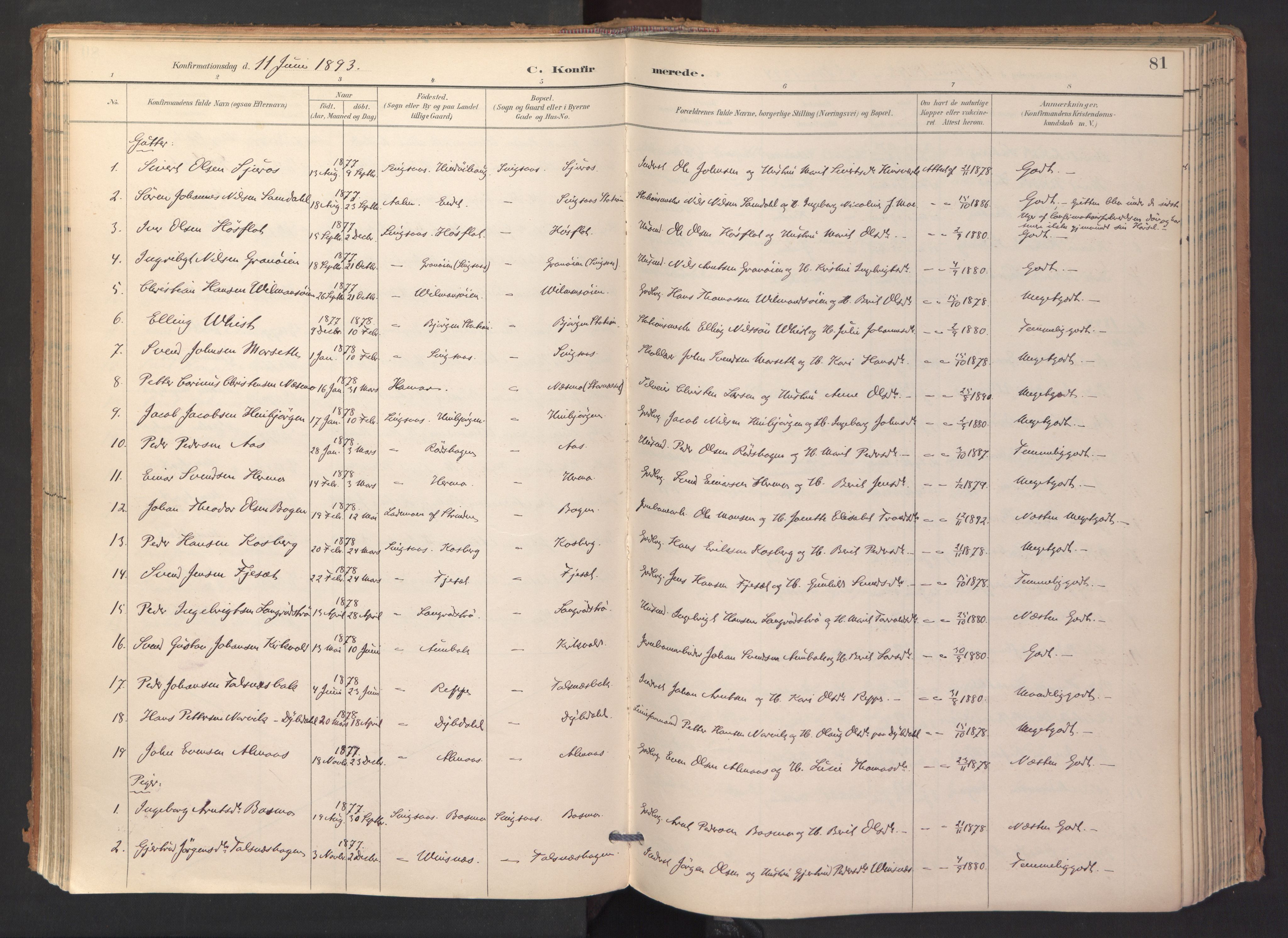 Ministerialprotokoller, klokkerbøker og fødselsregistre - Sør-Trøndelag, SAT/A-1456/688/L1025: Parish register (official) no. 688A02, 1891-1909, p. 81