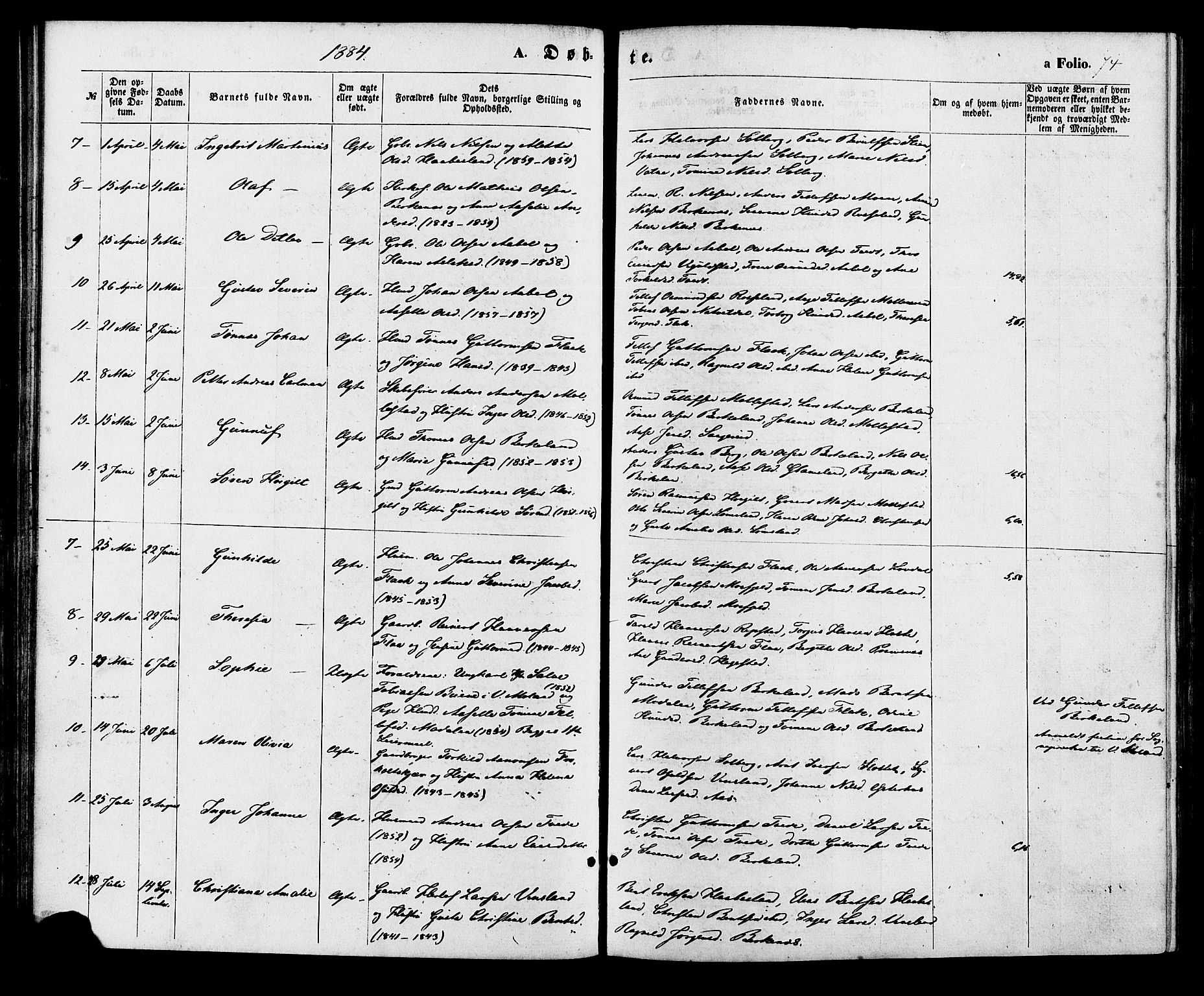 Birkenes sokneprestkontor, AV/SAK-1111-0004/F/Fa/L0004: Parish register (official) no. A 4, 1867-1886, p. 74