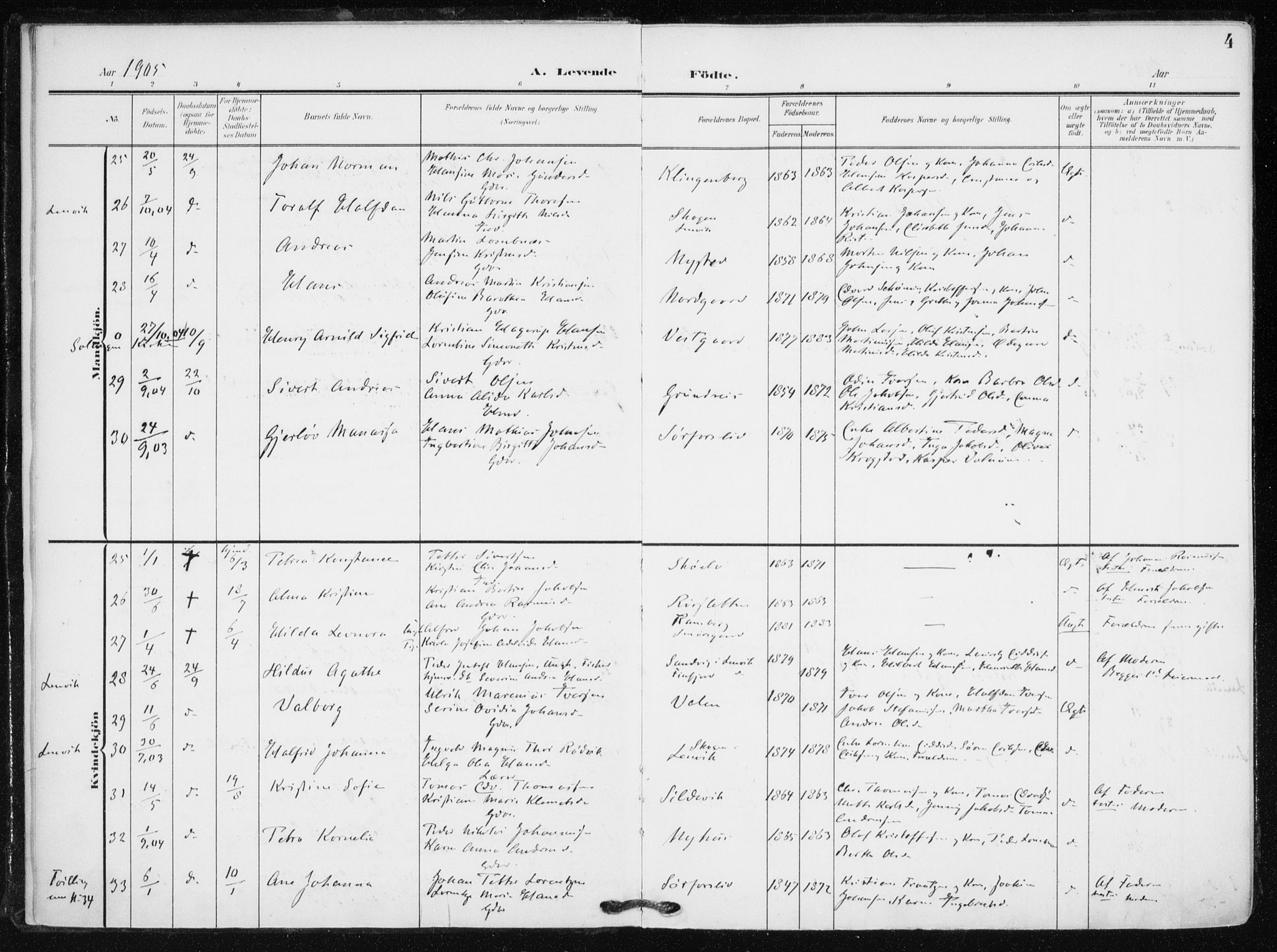 Tranøy sokneprestkontor, AV/SATØ-S-1313/I/Ia/Iaa/L0012kirke: Parish register (official) no. 12, 1905-1918, p. 4