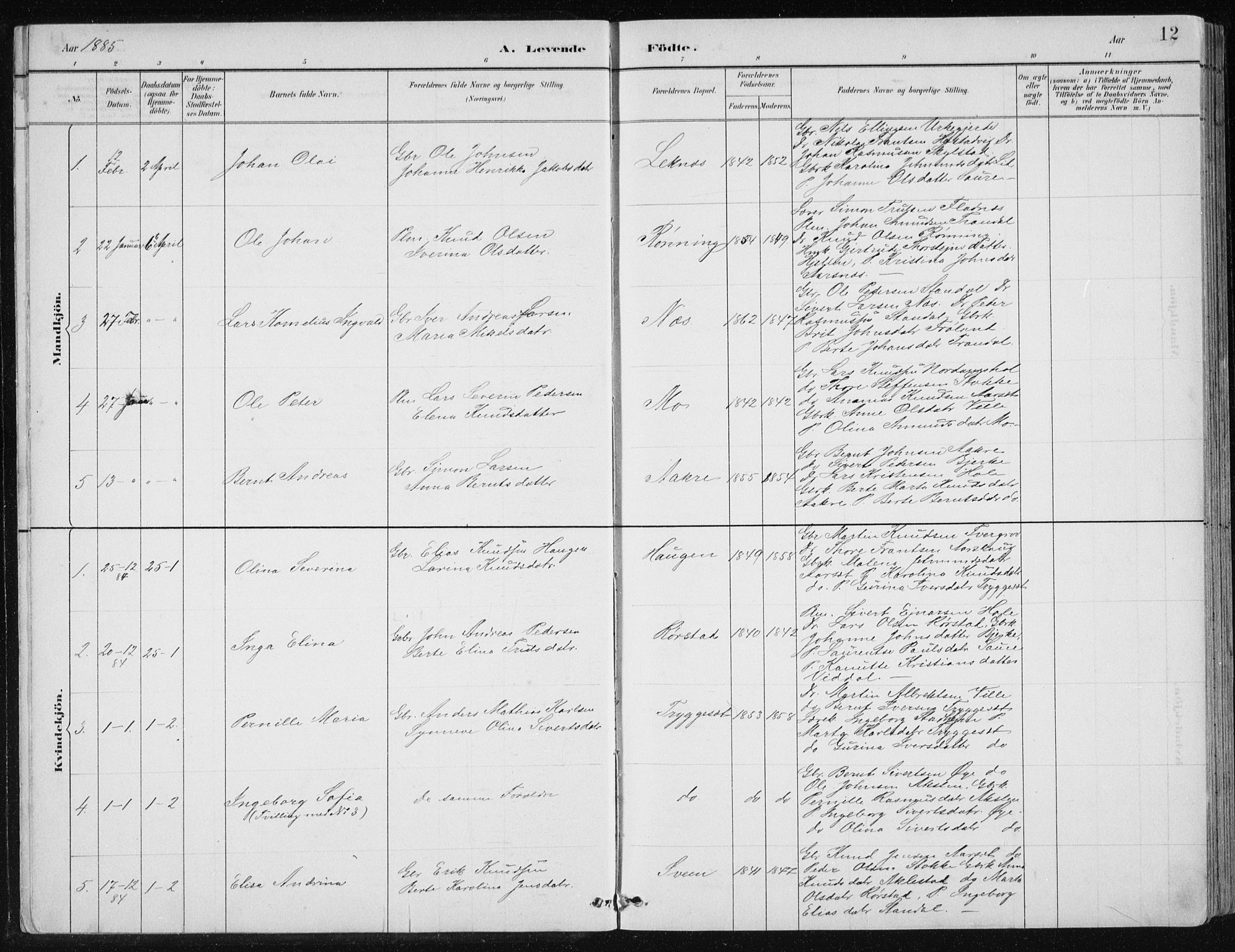 Ministerialprotokoller, klokkerbøker og fødselsregistre - Møre og Romsdal, AV/SAT-A-1454/515/L0215: Parish register (copy) no. 515C02, 1884-1906, p. 12