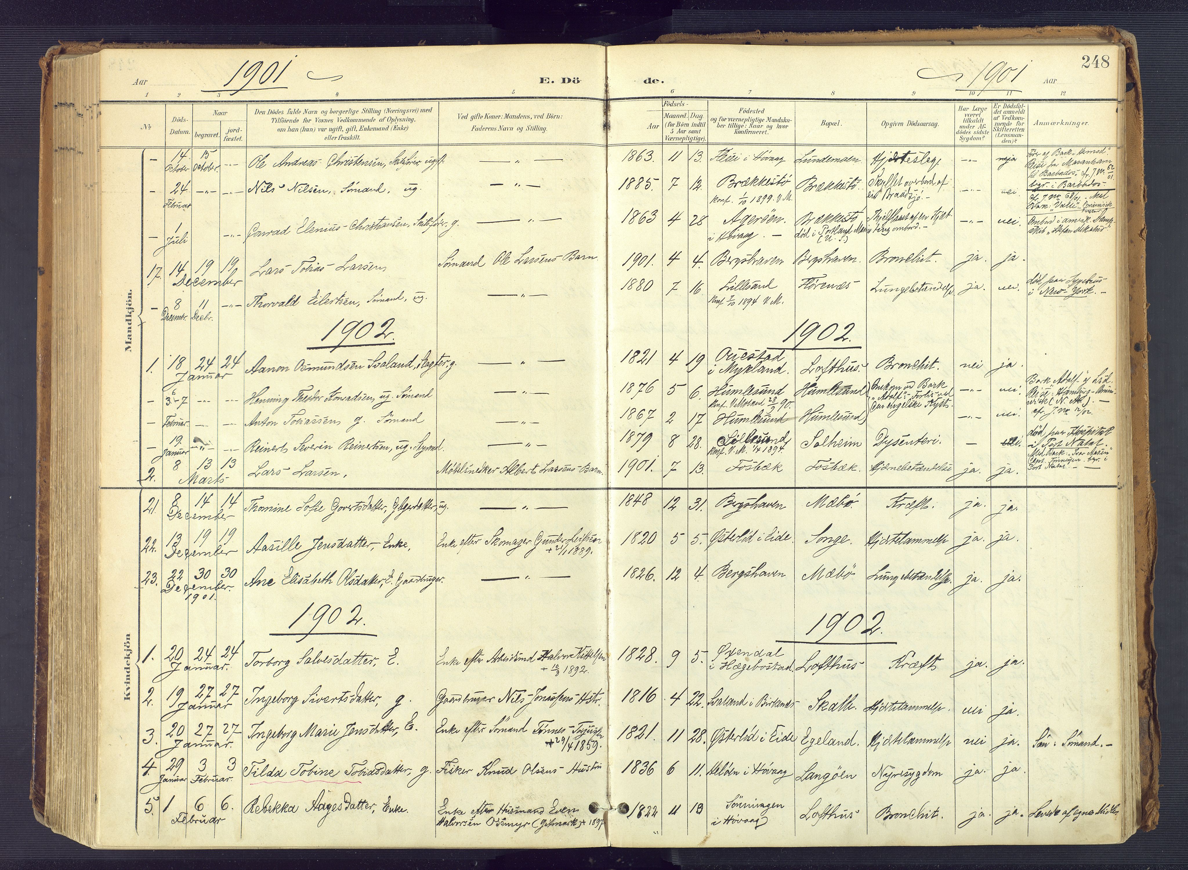 Vestre Moland sokneprestkontor, SAK/1111-0046/F/Fa/Fab/L0010: Parish register (official) no. A 10, 1900-1926, p. 248