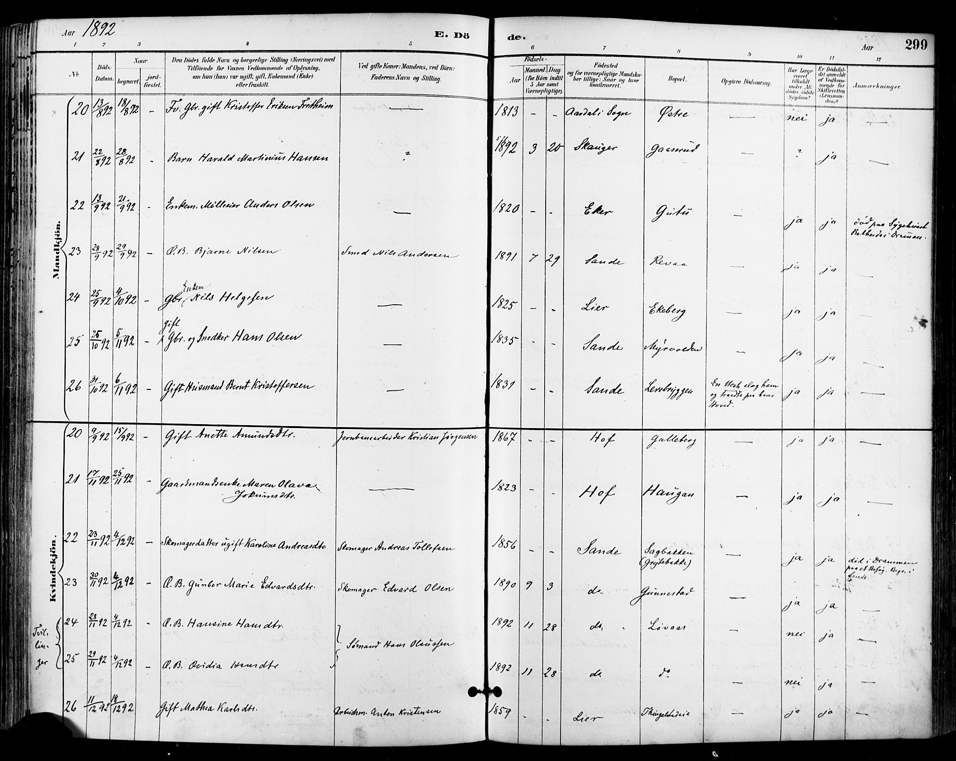 Sande Kirkebøker, AV/SAKO-A-53/F/Fa/L0007: Parish register (official) no. 7, 1888-1903, p. 299