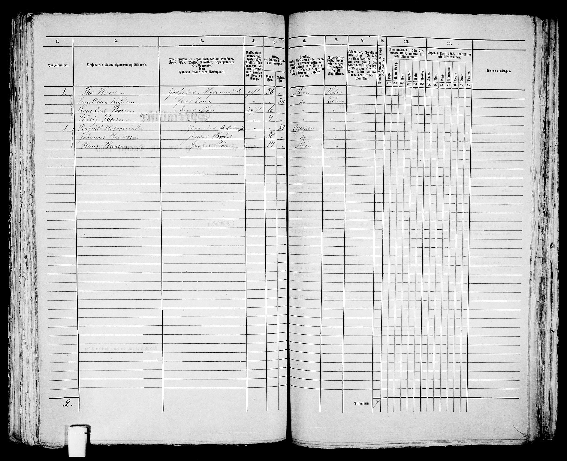 RA, 1865 census for Skien, 1865, p. 1116