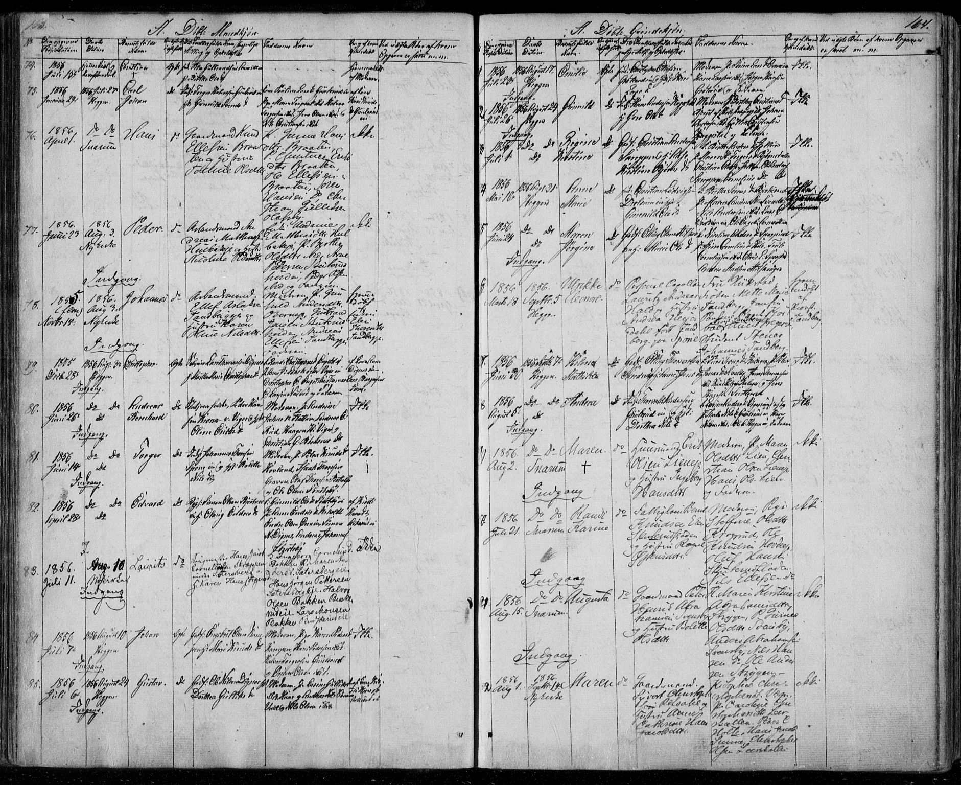 Modum kirkebøker, AV/SAKO-A-234/F/Fa/L0008: Parish register (official) no. 8, 1851-1859, p. 163-164