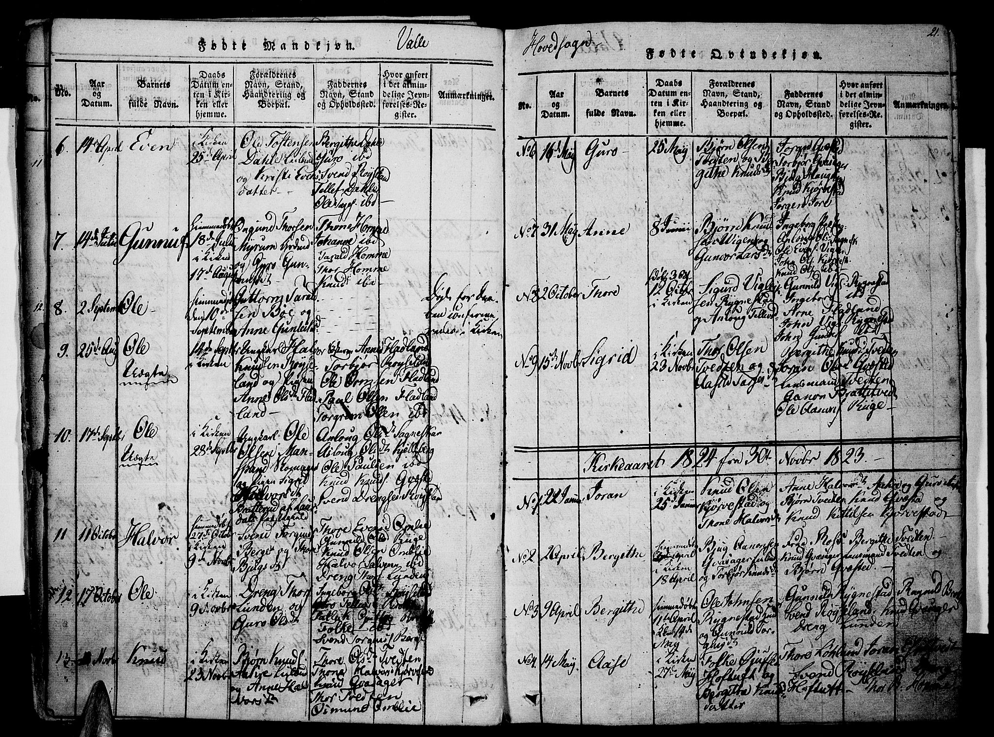 Valle sokneprestkontor, SAK/1111-0044/F/Fa/Fac/L0005: Parish register (official) no. A 5 /1, 1816-1831, p. 21