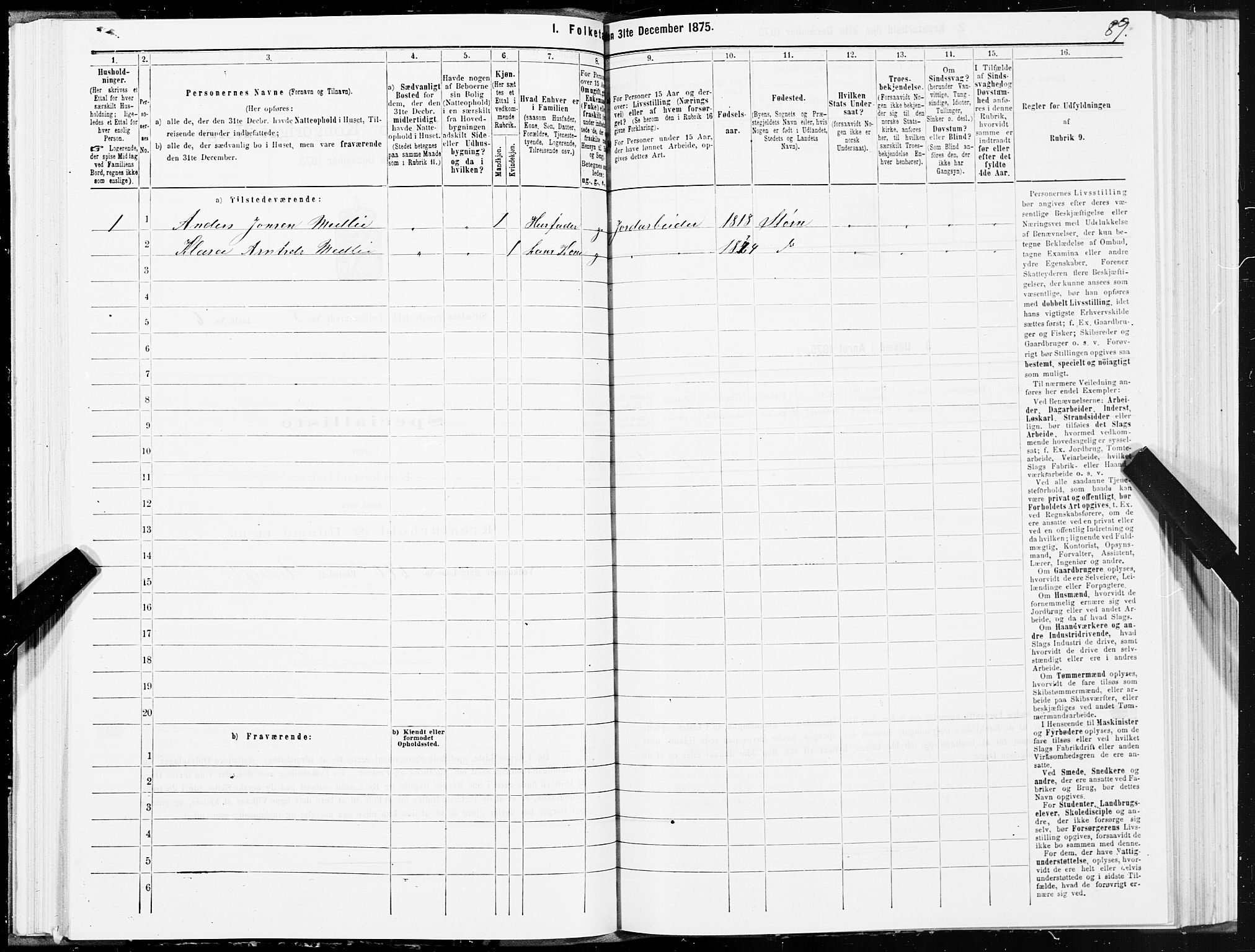 SAT, 1875 census for 1660P Strinda, 1875, p. 4089