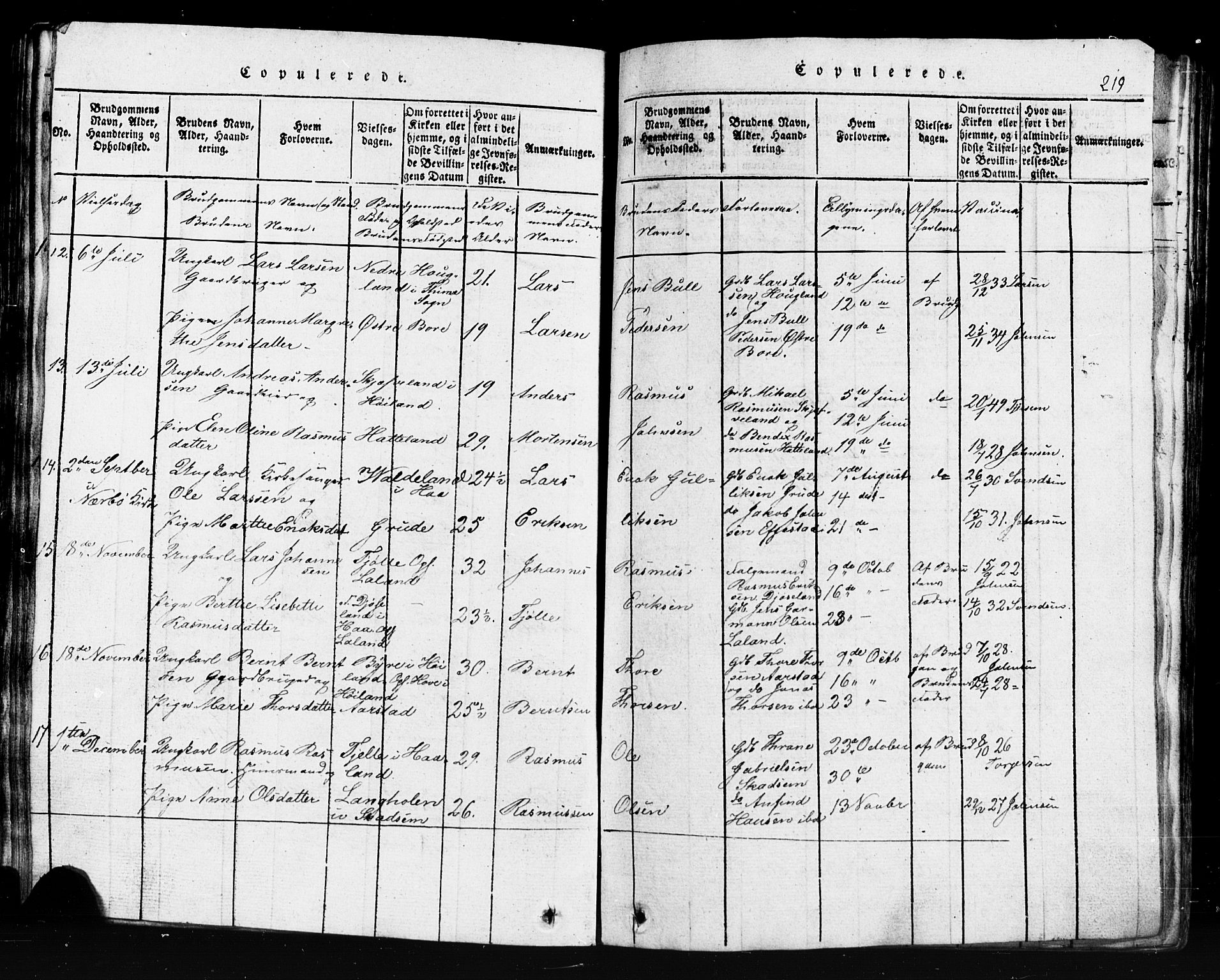 Klepp sokneprestkontor, AV/SAST-A-101803/001/3/30BB/L0001: Parish register (copy) no.  B 1, 1816-1859, p. 219