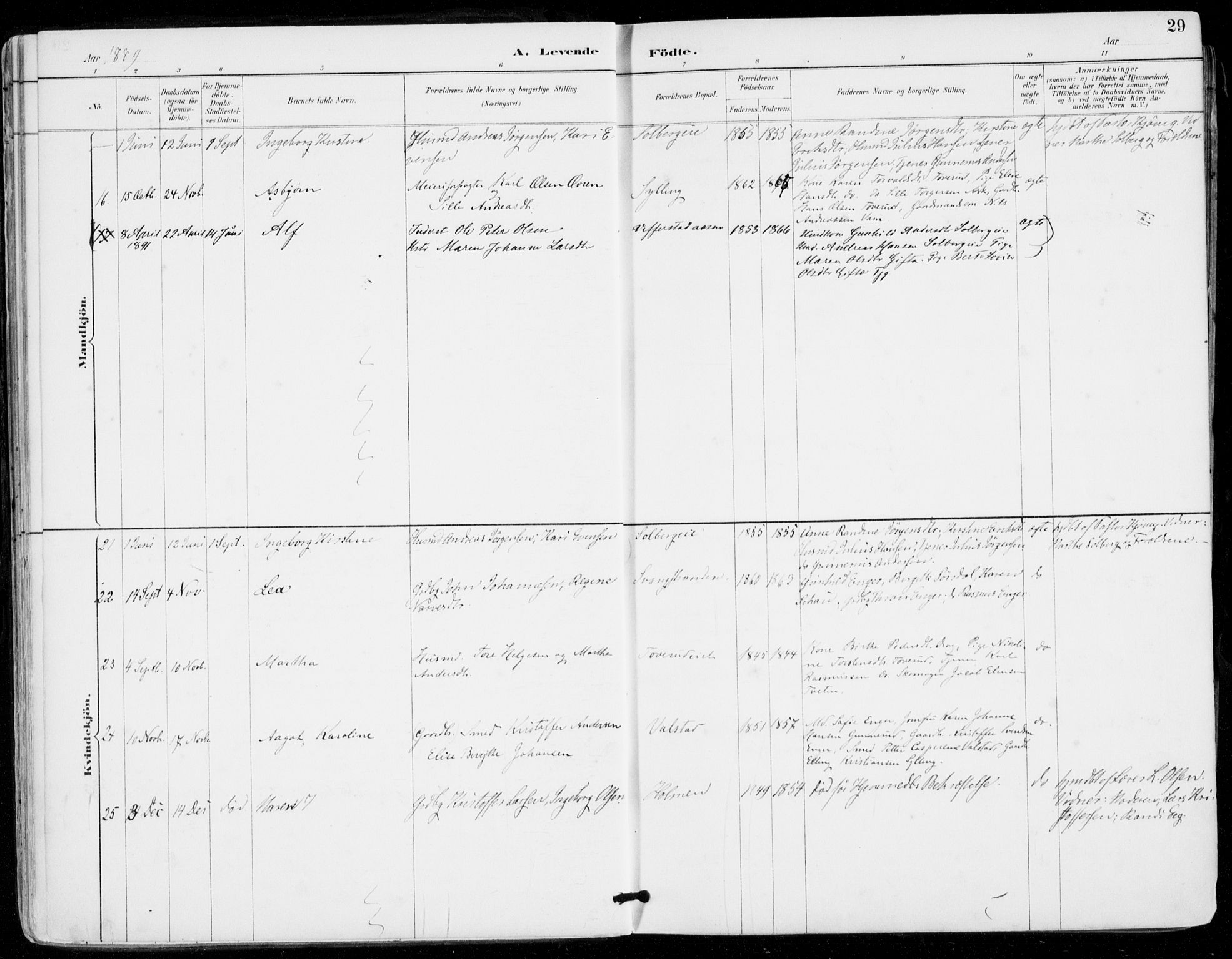 Sylling kirkebøker, AV/SAKO-A-247/F/Fa/L0001: Parish register (official) no. 1, 1883-1910, p. 29