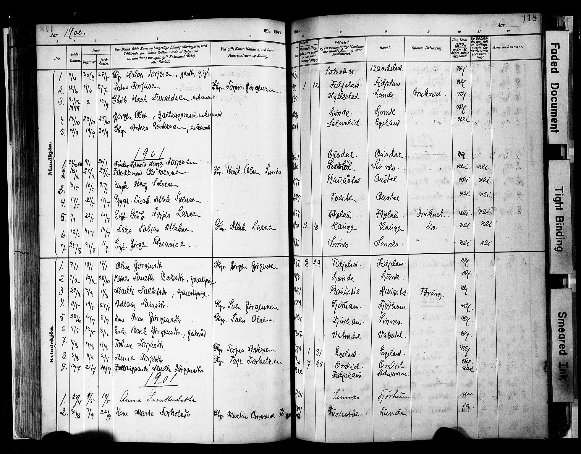 Sirdal sokneprestkontor, SAK/1111-0036/F/Fa/Faa/L0001: Parish register (official) no. A 1, 1887-1910, p. 118
