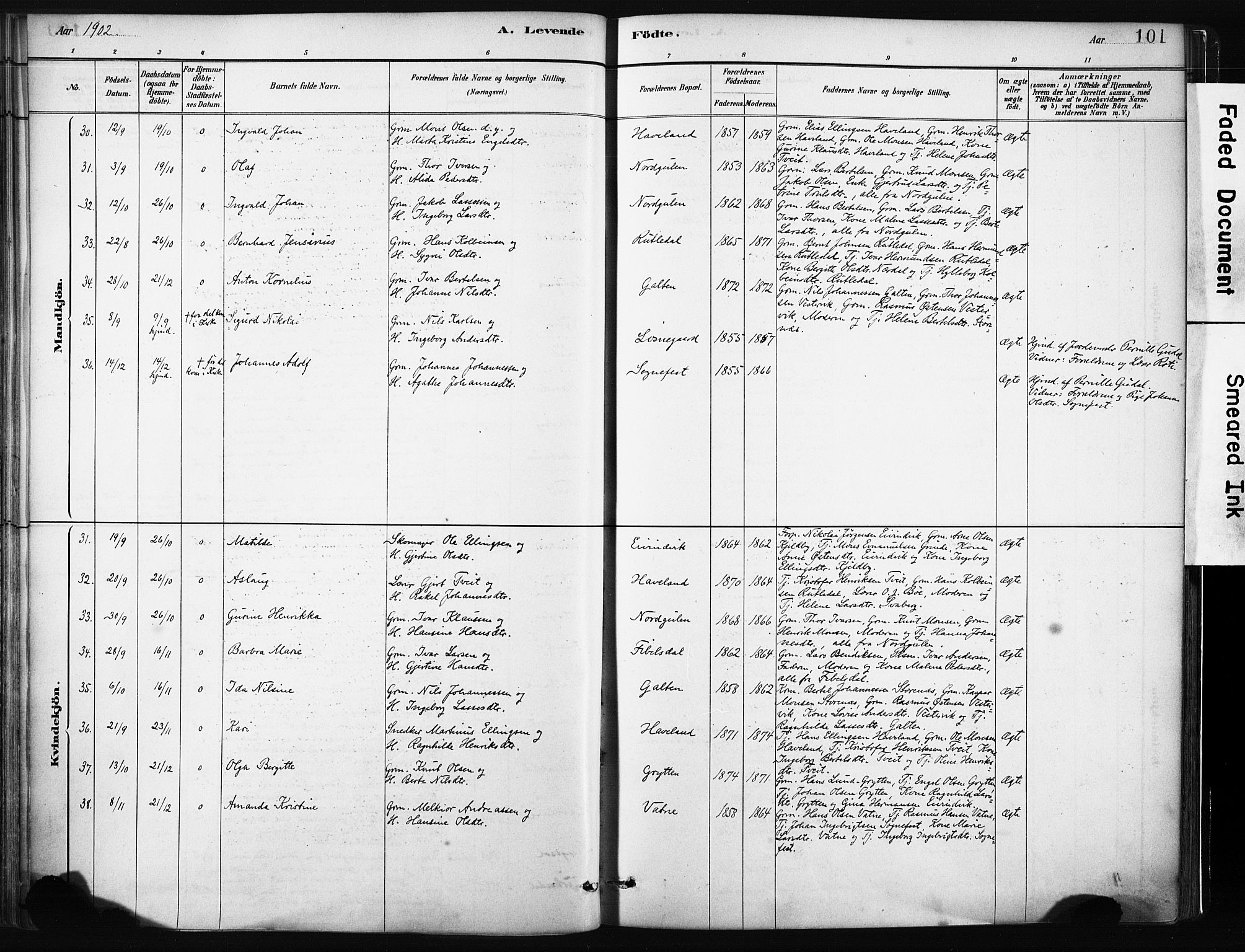 Gulen sokneprestembete, SAB/A-80201/H/Haa/Haab/L0001: Parish register (official) no. B 1, 1881-1905, p. 101
