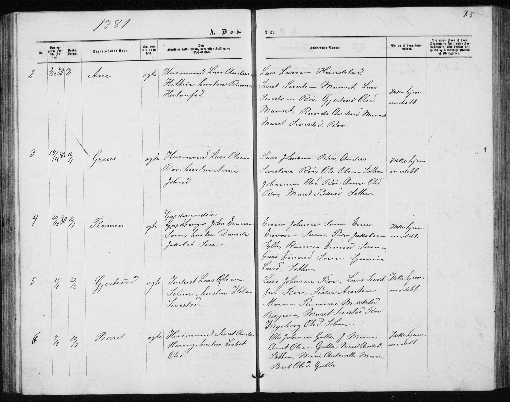 Ministerialprotokoller, klokkerbøker og fødselsregistre - Møre og Romsdal, AV/SAT-A-1454/597/L1064: Parish register (copy) no. 597C01, 1866-1898, p. 75