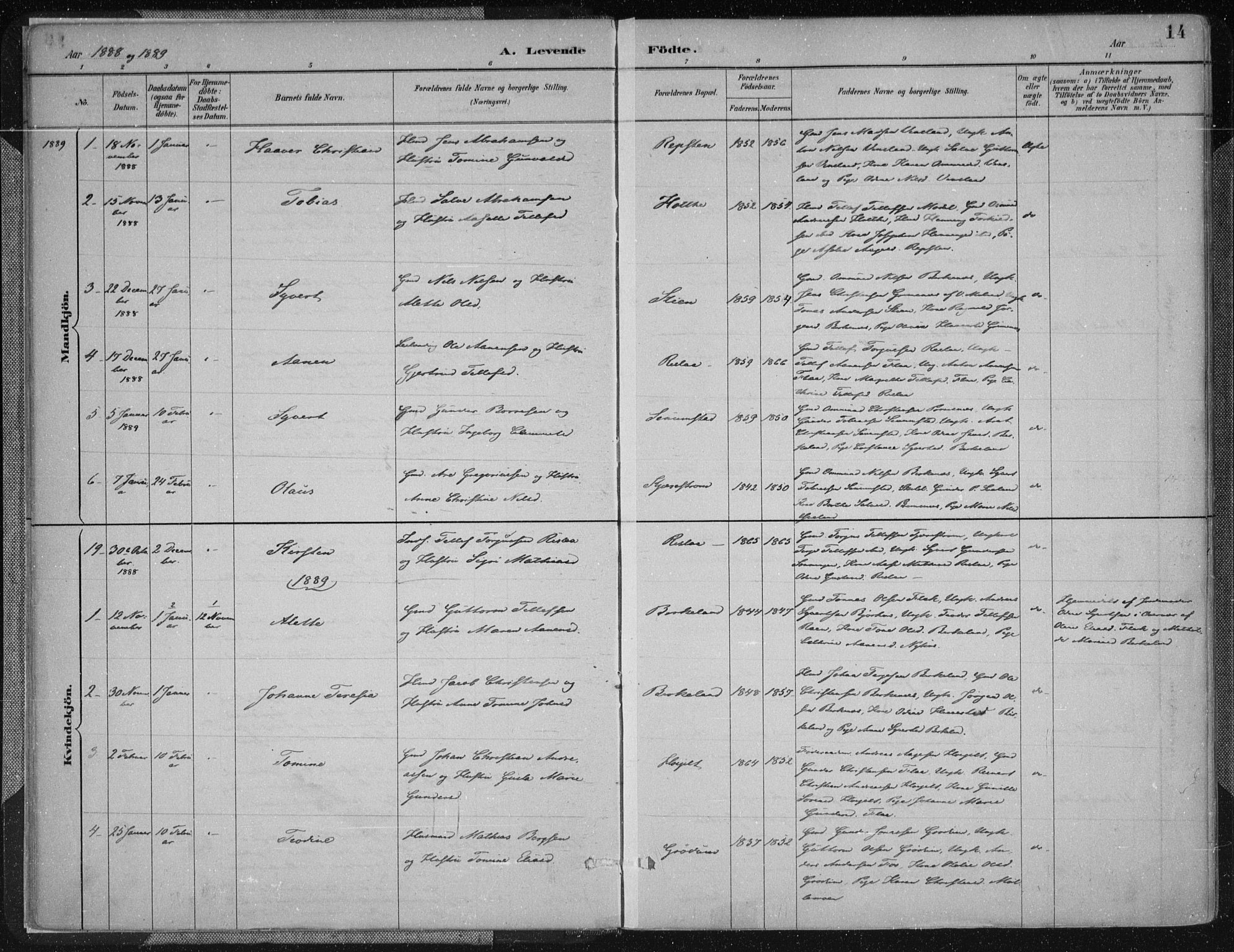 Birkenes sokneprestkontor, SAK/1111-0004/F/Fa/L0005: Parish register (official) no. A 5, 1887-1907, p. 14