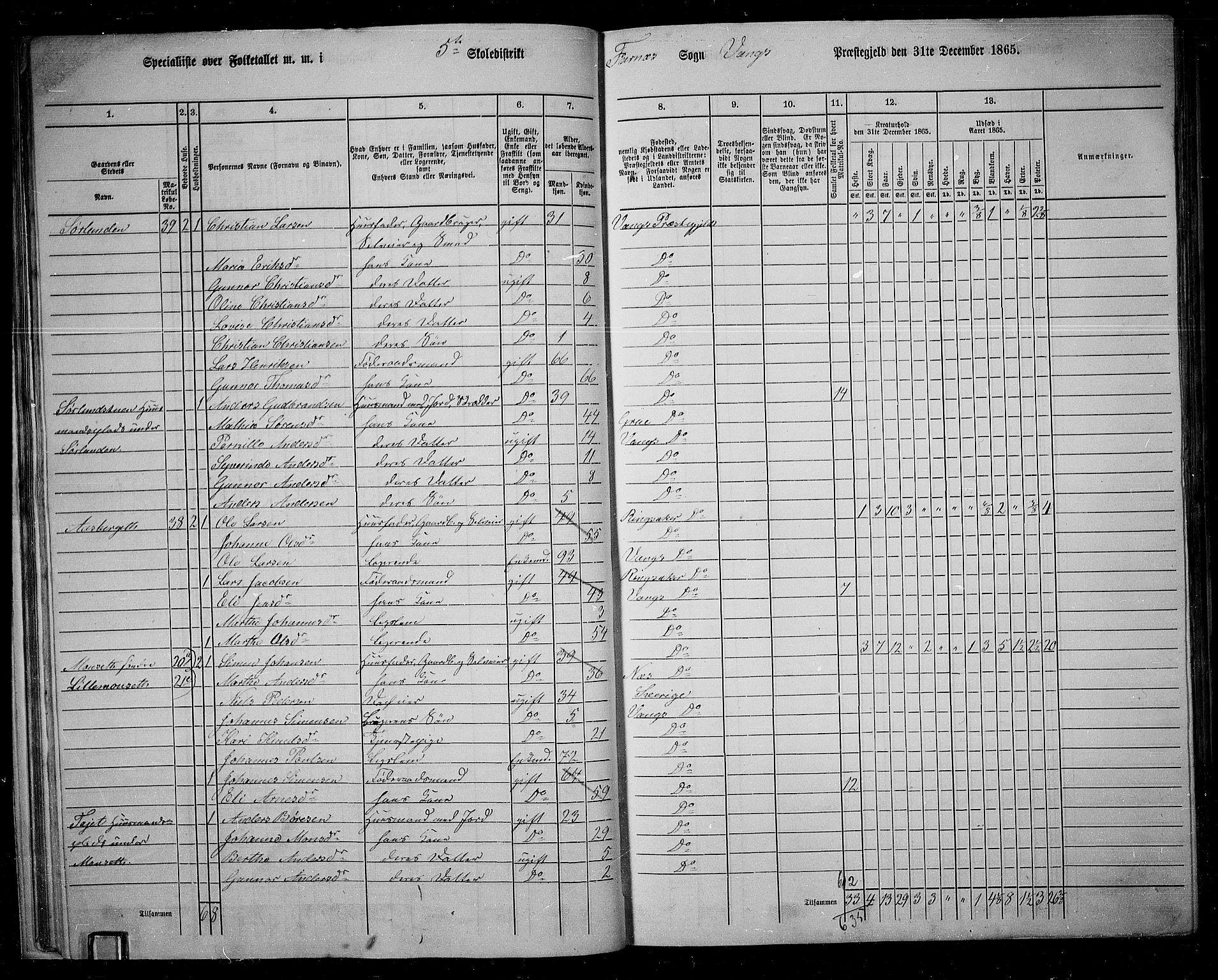 RA, 1865 census for Vang/Vang og Furnes, 1865, p. 35