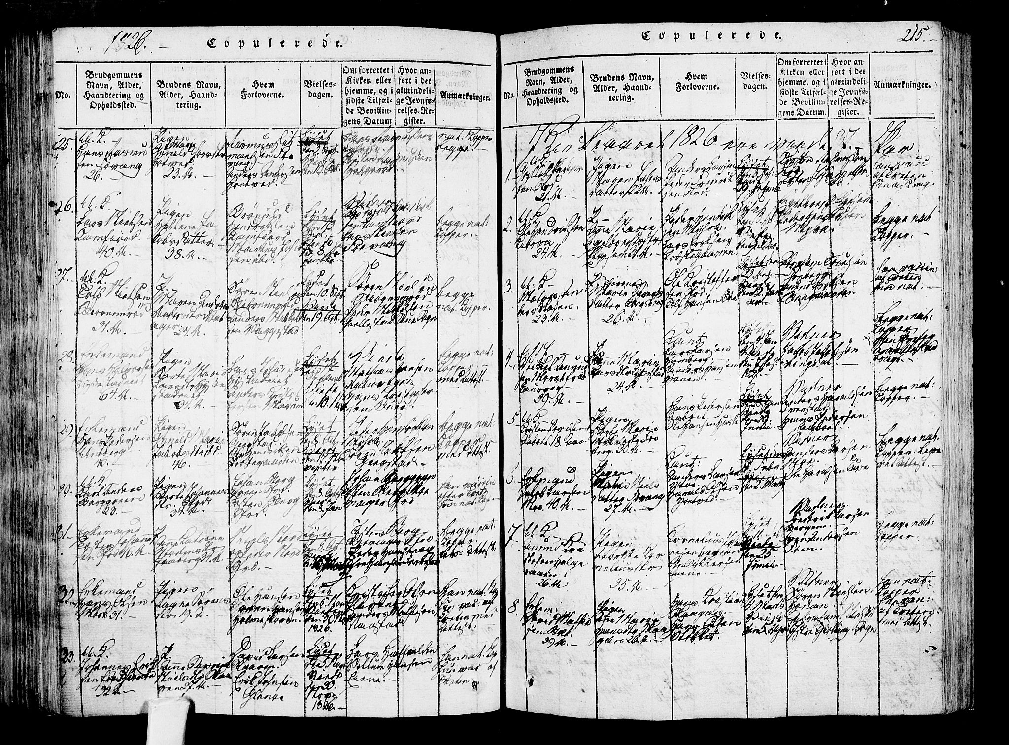 Sandar kirkebøker, AV/SAKO-A-243/F/Fa/L0004: Parish register (official) no. 4, 1814-1832, p. 215