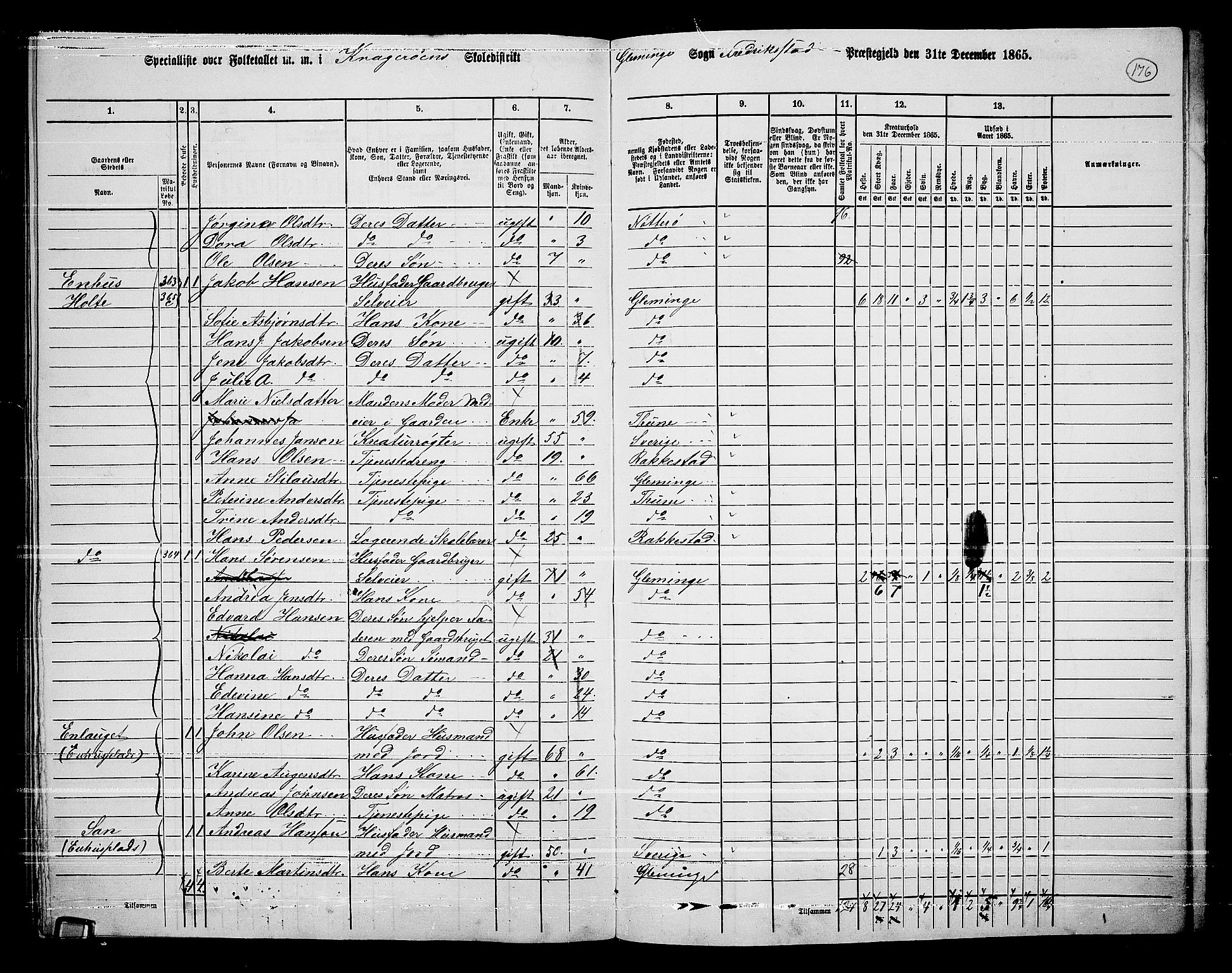 RA, 1865 census for Fredrikstad/Glemmen, 1865, p. 165