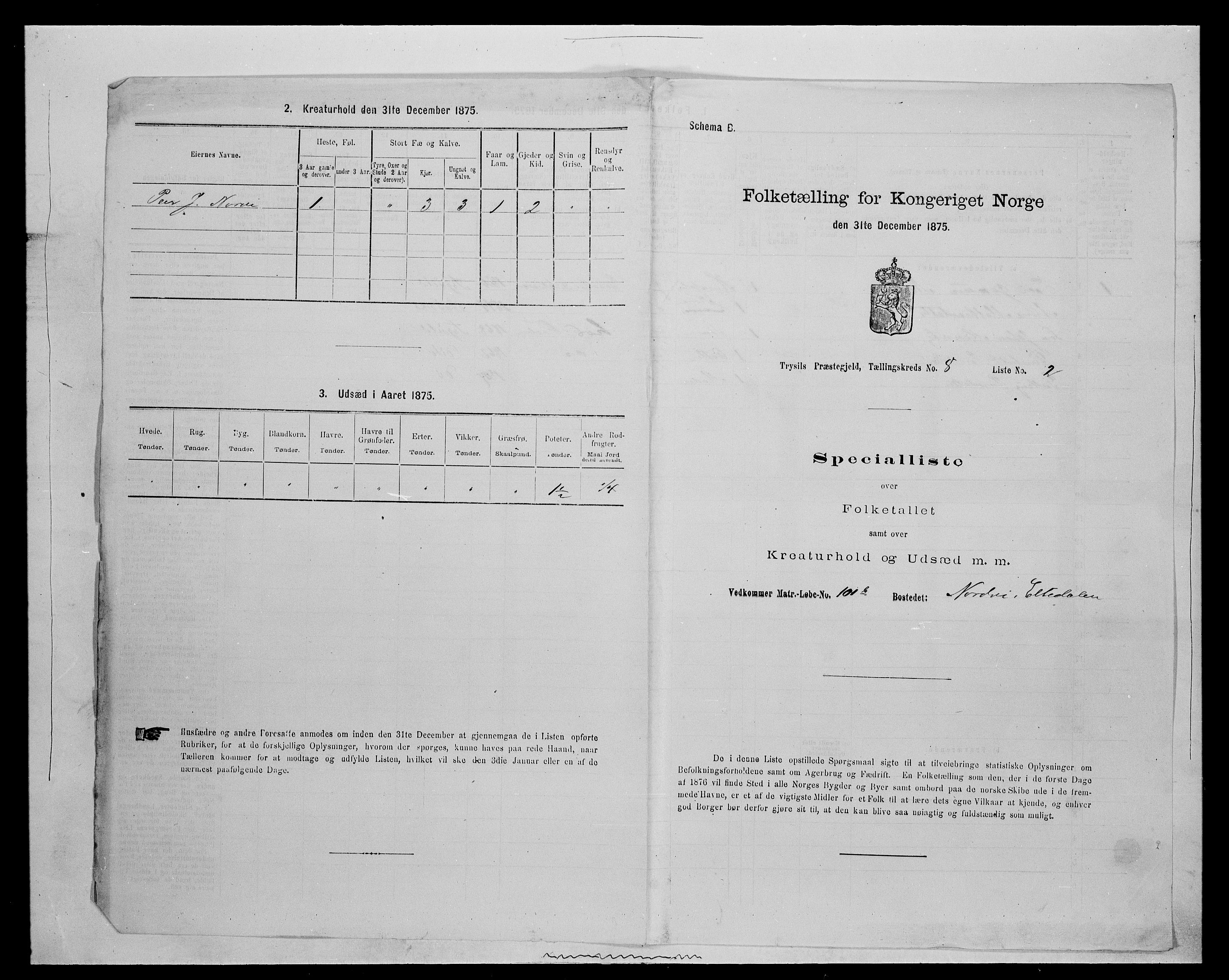 SAH, 1875 census for 0428P Trysil, 1875, p. 957