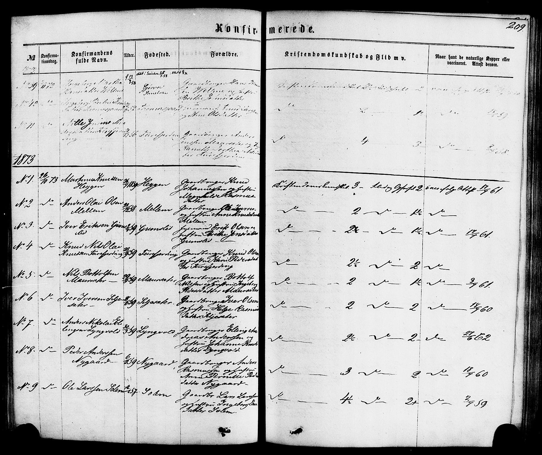 Hornindal sokneprestembete, SAB/A-82401/H/Haa/Haaa/L0002: Parish register (official) no. A 2, 1867-1884, p. 209