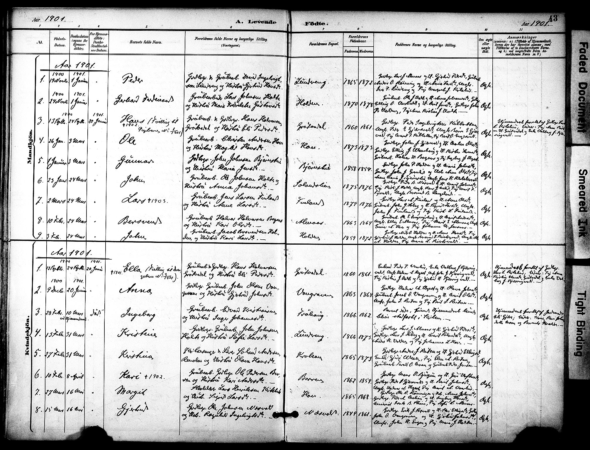 Ministerialprotokoller, klokkerbøker og fødselsregistre - Sør-Trøndelag, SAT/A-1456/686/L0984: Parish register (official) no. 686A02, 1891-1906, p. 43