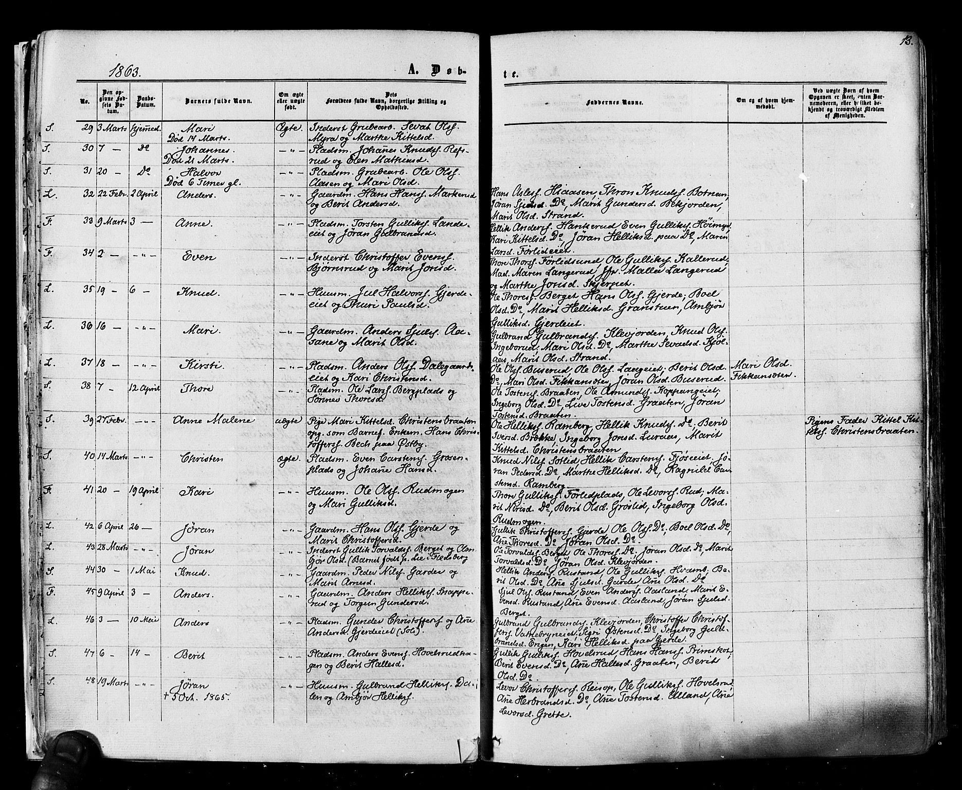 Flesberg kirkebøker, SAKO/A-18/F/Fa/L0007: Parish register (official) no. I 7, 1861-1878, p. 13