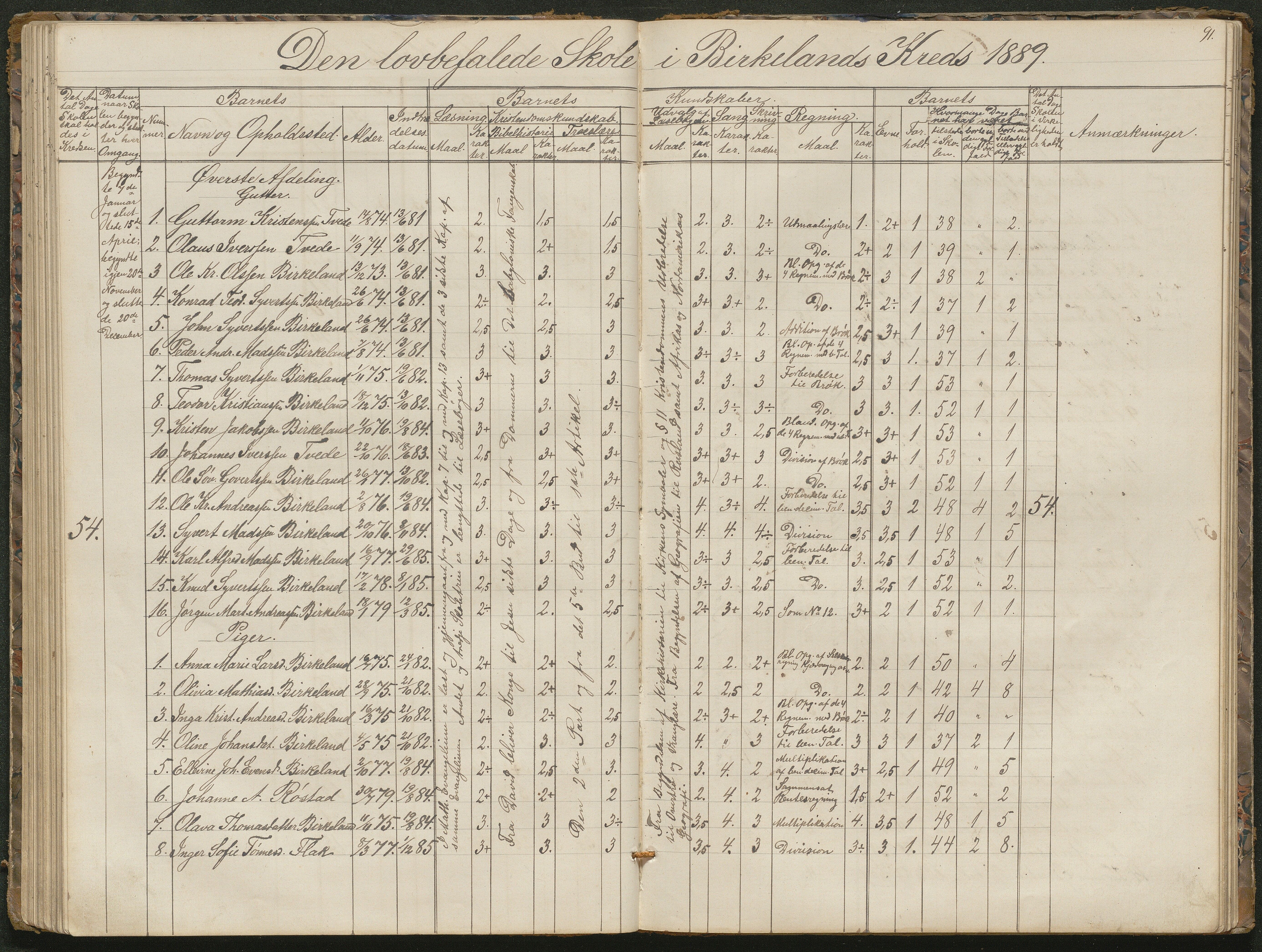 Birkenes kommune, Birkenes krets/Birkeland folkeskole frem til 1991, AAKS/KA0928-550a_91/F02/L0001: Skoleprotokoll, 1862-1896, p. 91