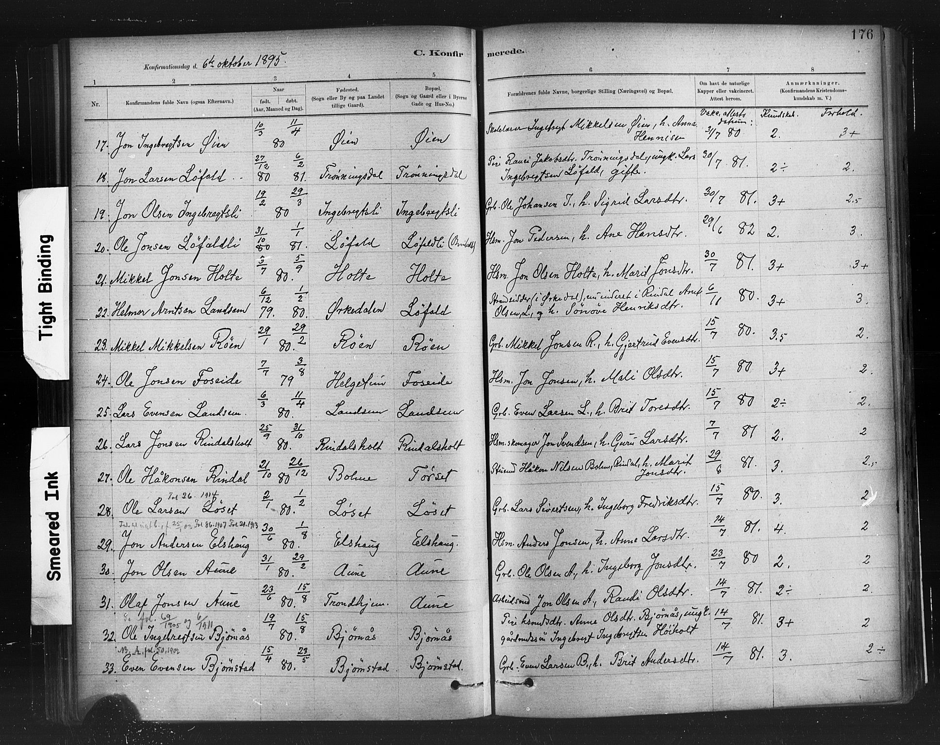 Ministerialprotokoller, klokkerbøker og fødselsregistre - Møre og Romsdal, AV/SAT-A-1454/598/L1069: Parish register (official) no. 598A03, 1882-1895, p. 176