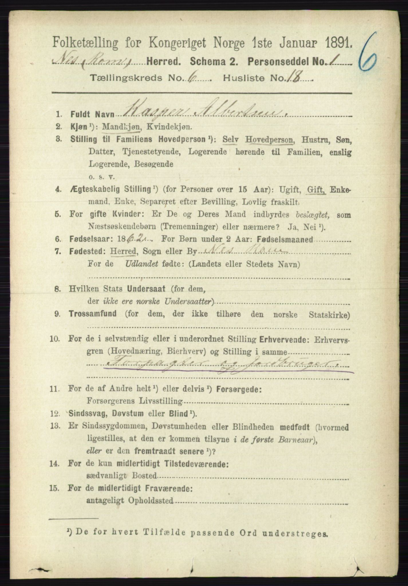 RA, 1891 census for 0236 Nes, 1891, p. 3488