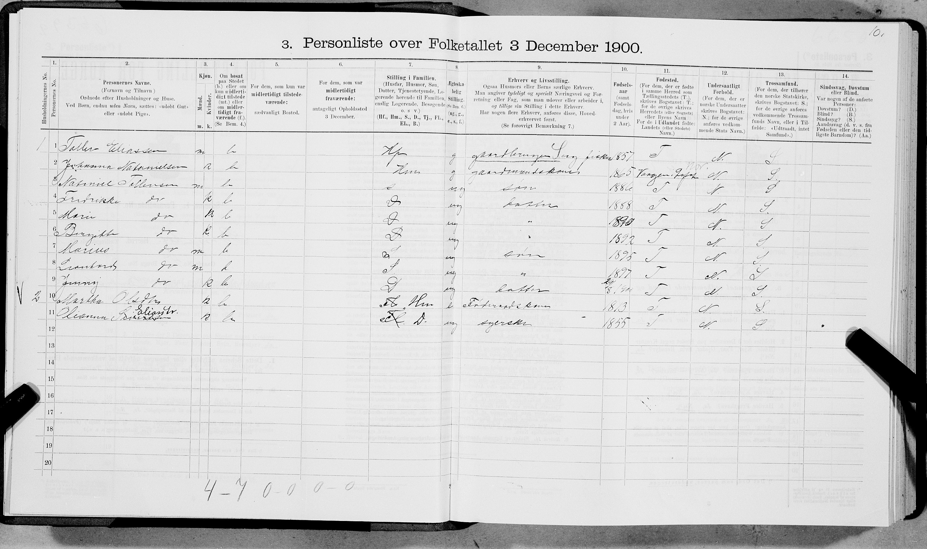 SAT, 1900 census for Borge, 1900, p. 894