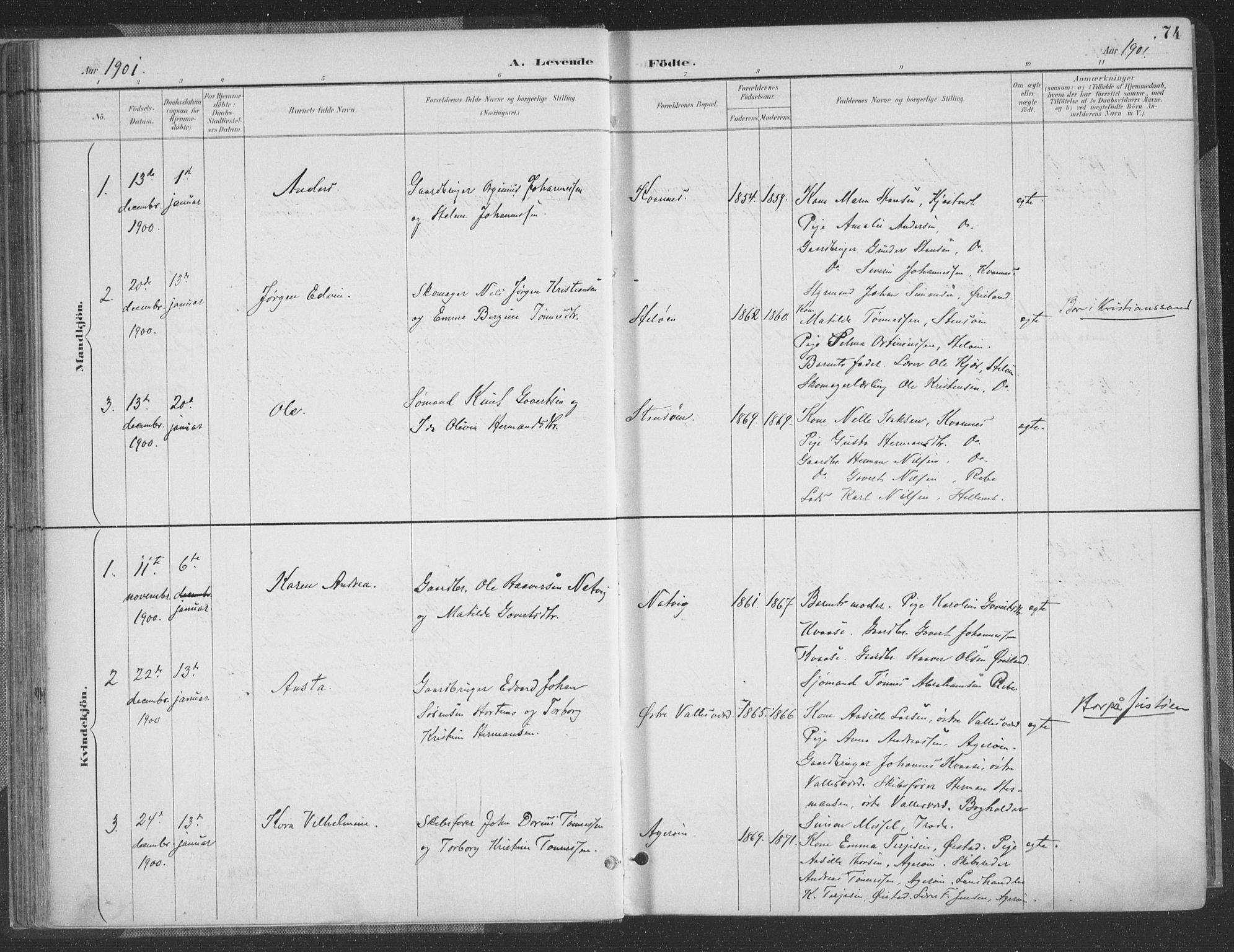 Høvåg sokneprestkontor, AV/SAK-1111-0025/F/Fa/L0006: Parish register (official) no. A 6, 1894-1923, p. 74