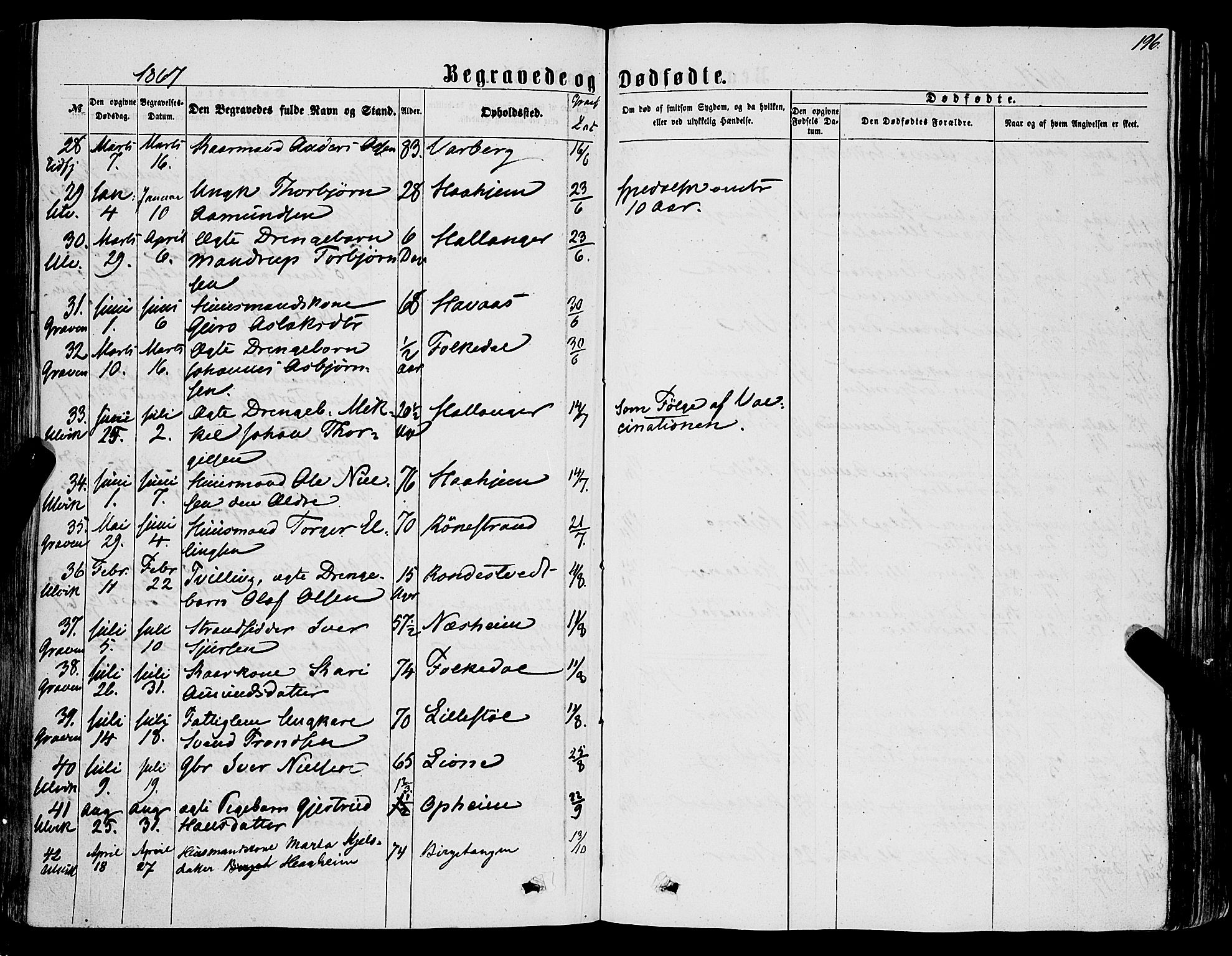 Ulvik sokneprestembete, AV/SAB-A-78801/H/Haa: Parish register (official) no. A 15, 1864-1878, p. 196