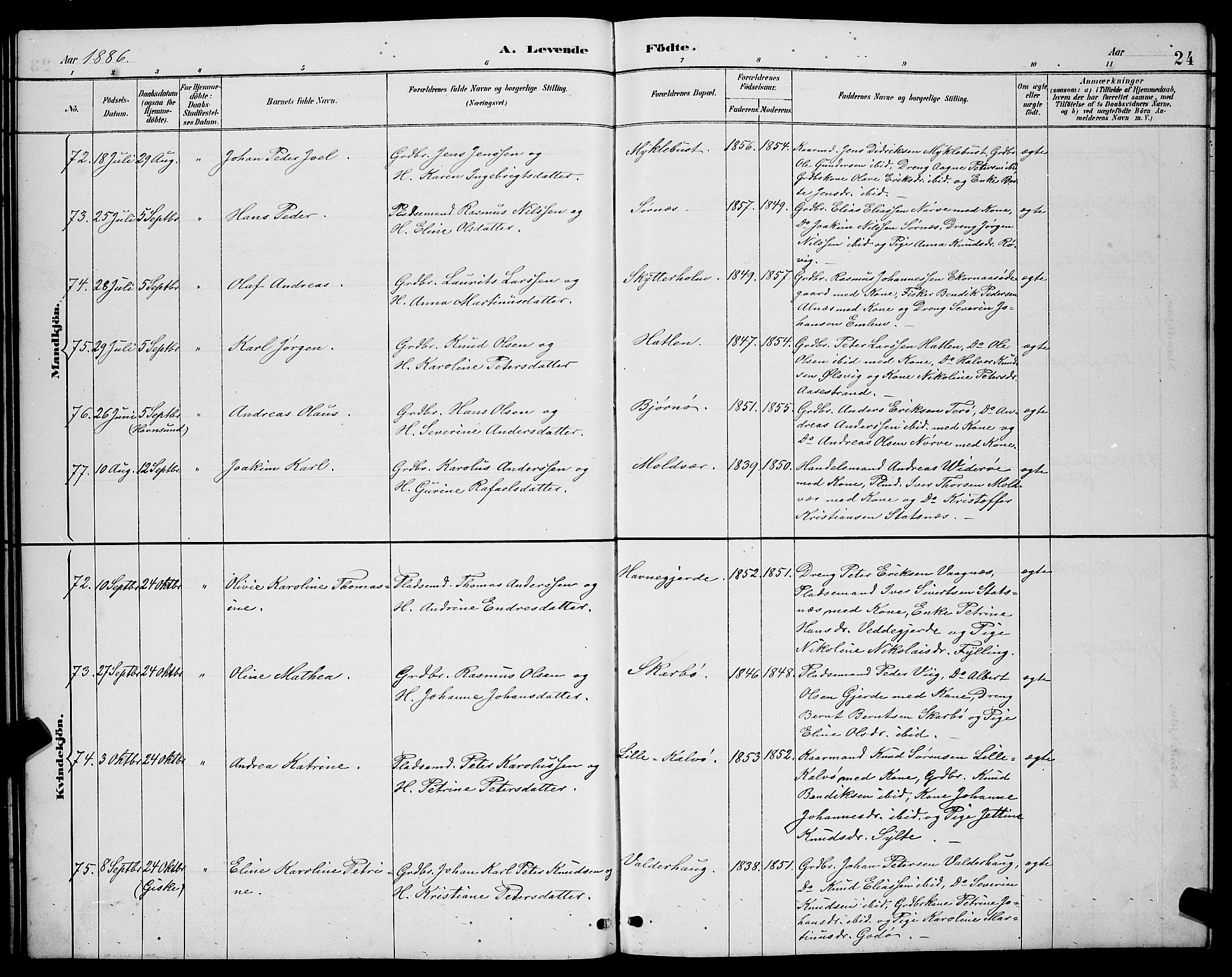 Ministerialprotokoller, klokkerbøker og fødselsregistre - Møre og Romsdal, AV/SAT-A-1454/528/L0431: Parish register (copy) no. 528C12, 1885-1898, p. 24