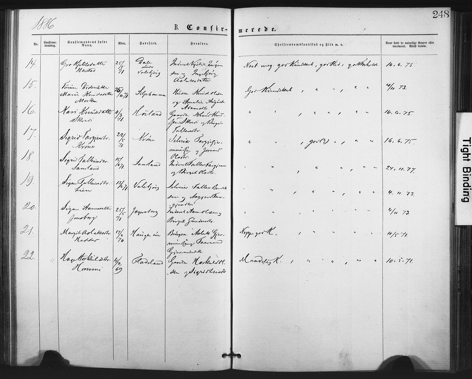 Fyresdal kirkebøker, SAKO/A-263/F/Fa/L0006: Parish register (official) no. I 6, 1872-1886, p. 248