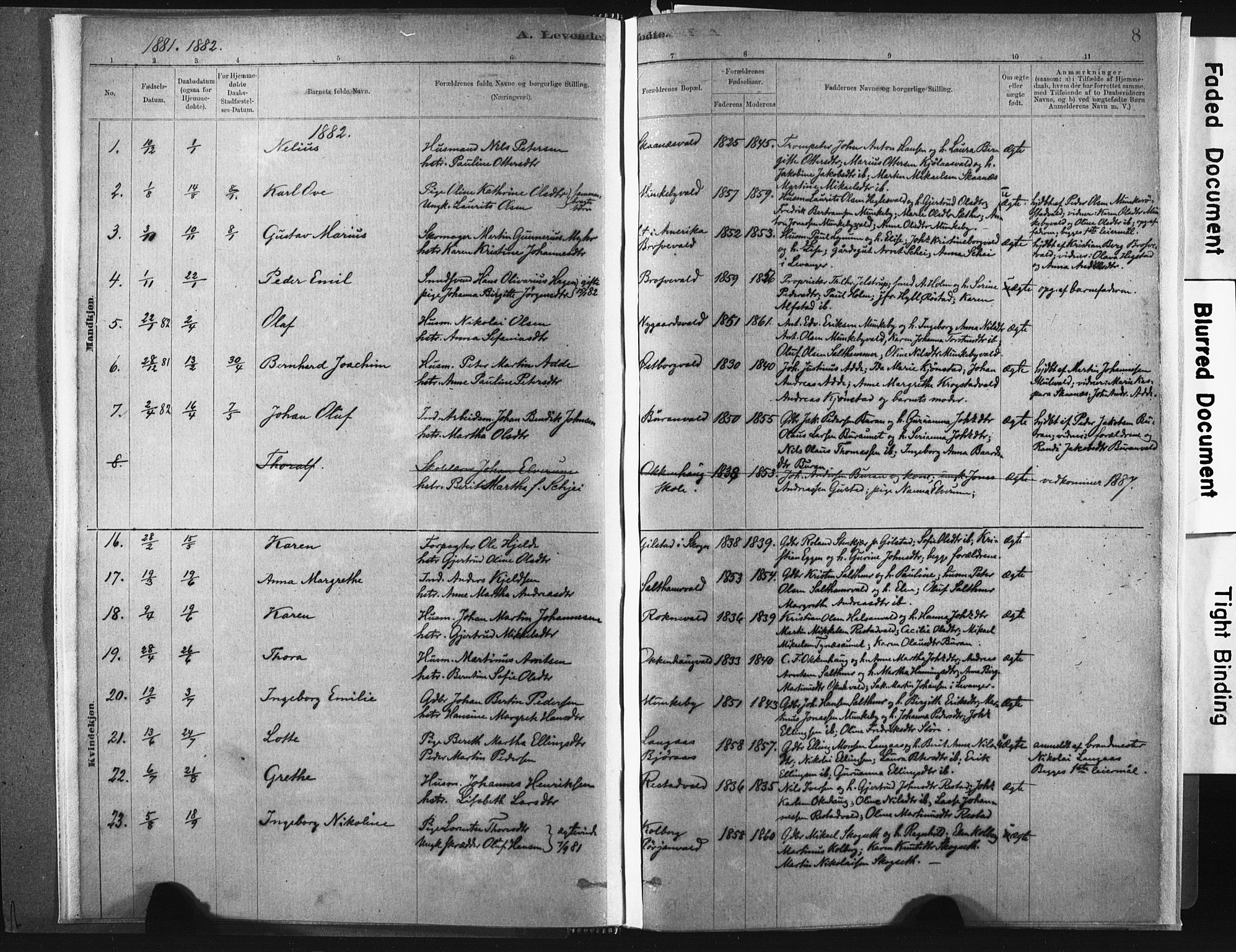 Ministerialprotokoller, klokkerbøker og fødselsregistre - Nord-Trøndelag, SAT/A-1458/721/L0207: Parish register (official) no. 721A02, 1880-1911, p. 8