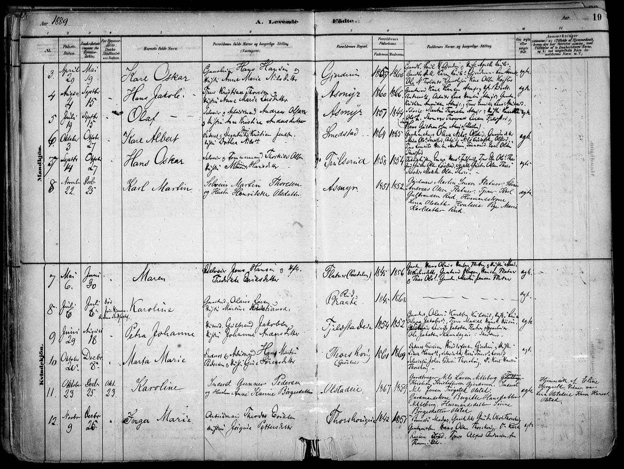 Gjerdrum prestekontor Kirkebøker, AV/SAO-A-10412b/F/Fa/L0009: Parish register (official) no. I 9, 1881-1916, p. 19