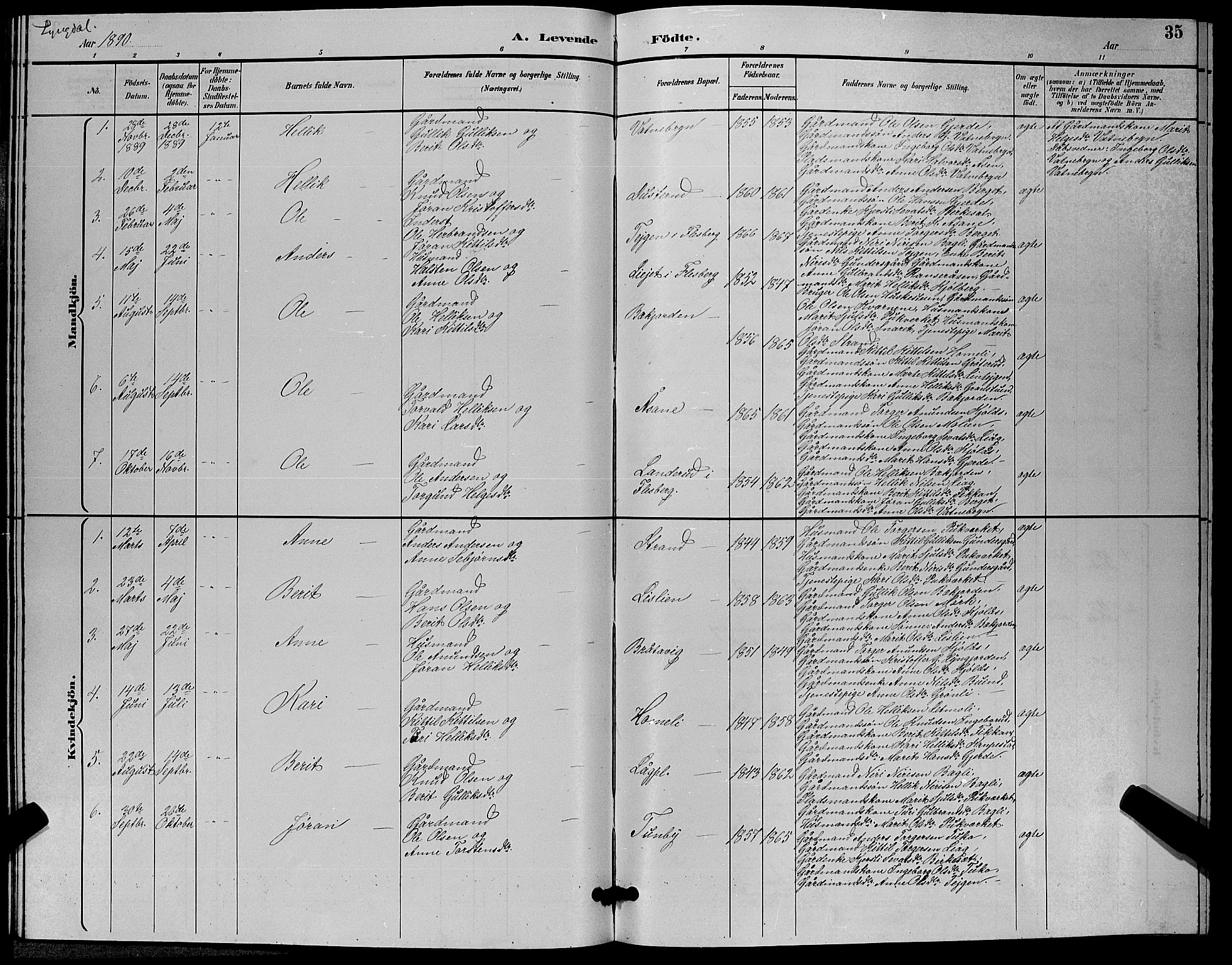 Flesberg kirkebøker, AV/SAKO-A-18/G/Ga/L0004: Parish register (copy) no. I 4 /3, 1890-1898, p. 35