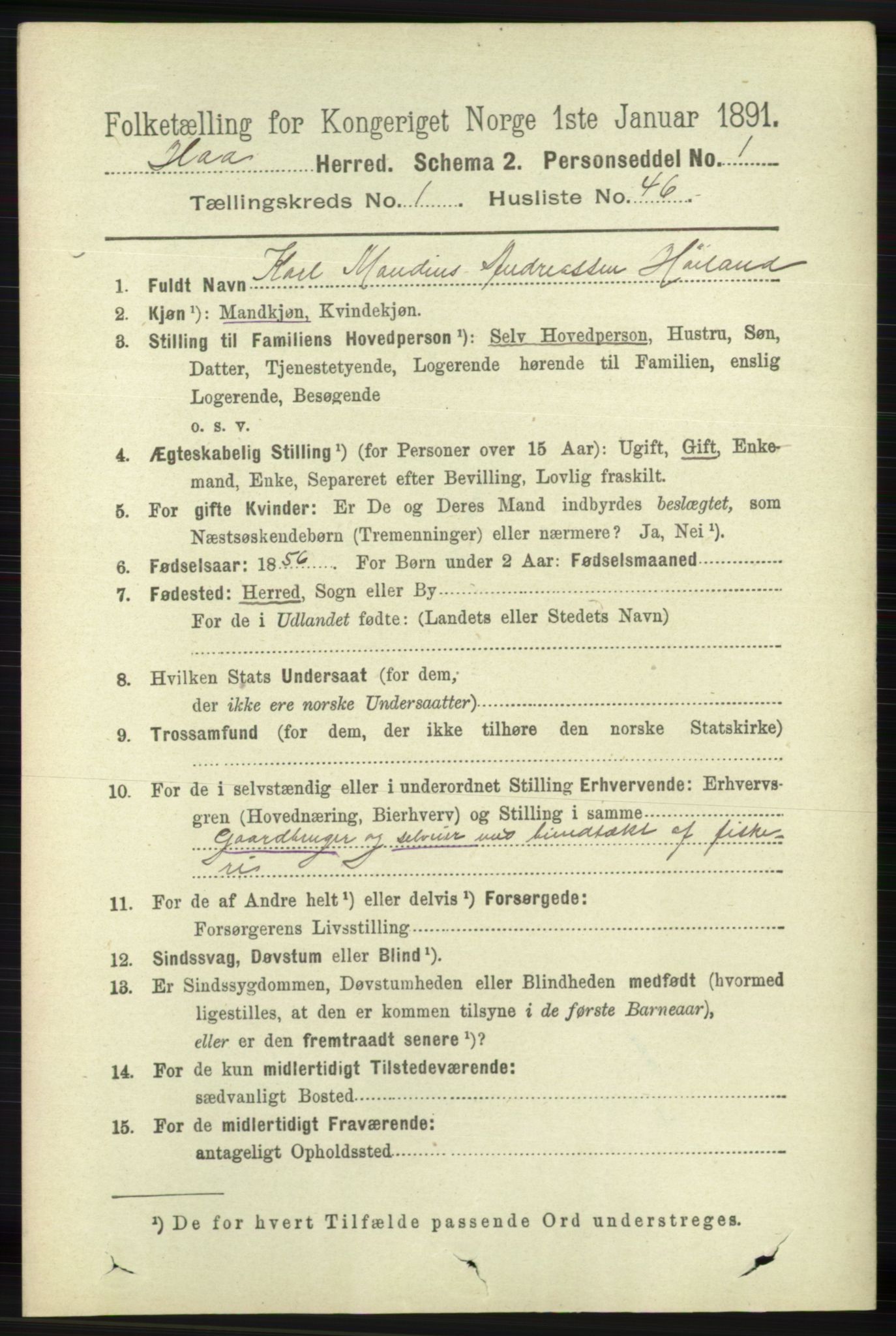 RA, 1891 census for 1119 Hå, 1891, p. 317