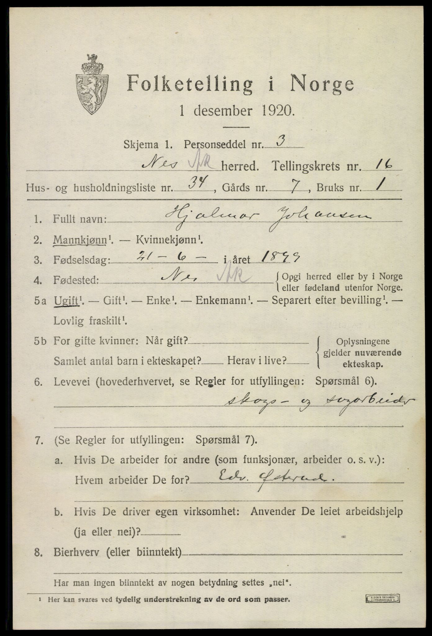 SAO, 1920 census for Nes, 1920, p. 16146