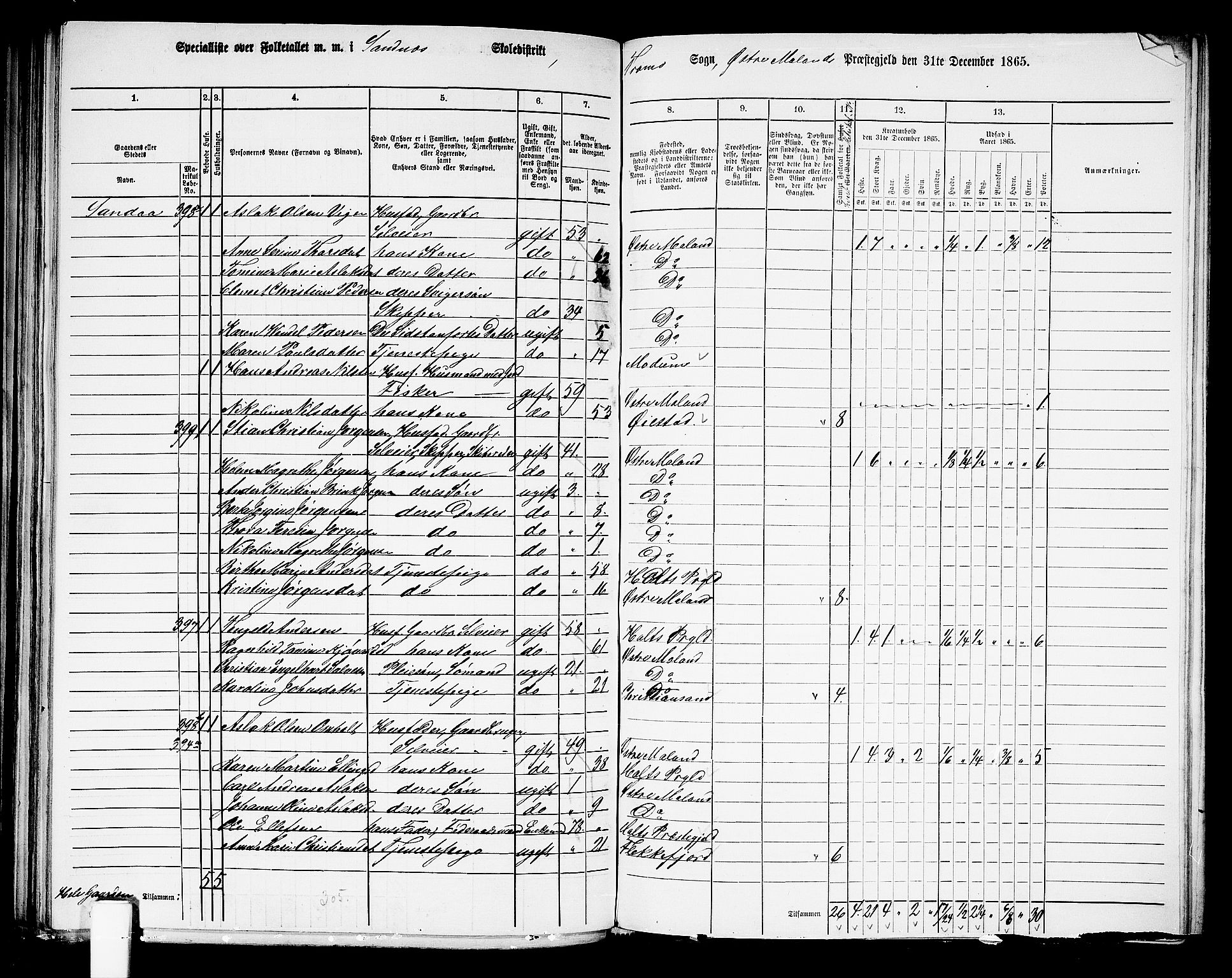 RA, 1865 census for Austre Moland, 1865, p. 201