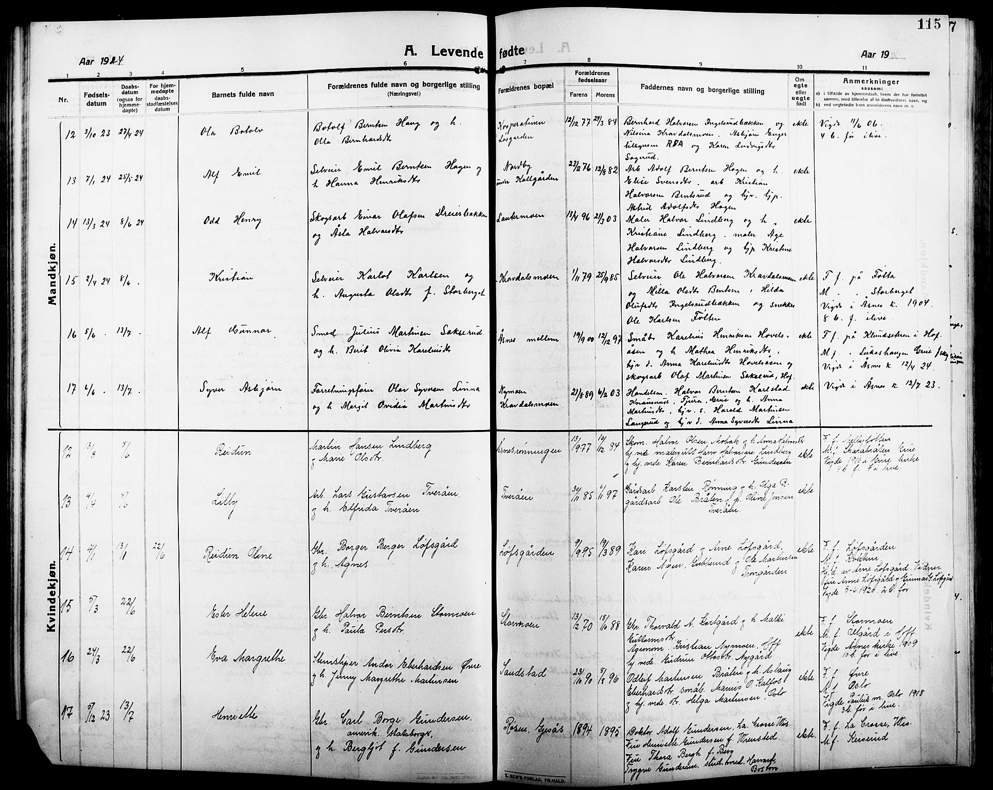 Åsnes prestekontor, AV/SAH-PREST-042/H/Ha/Hab/L0007: Parish register (copy) no. 7, 1909-1926, p. 115