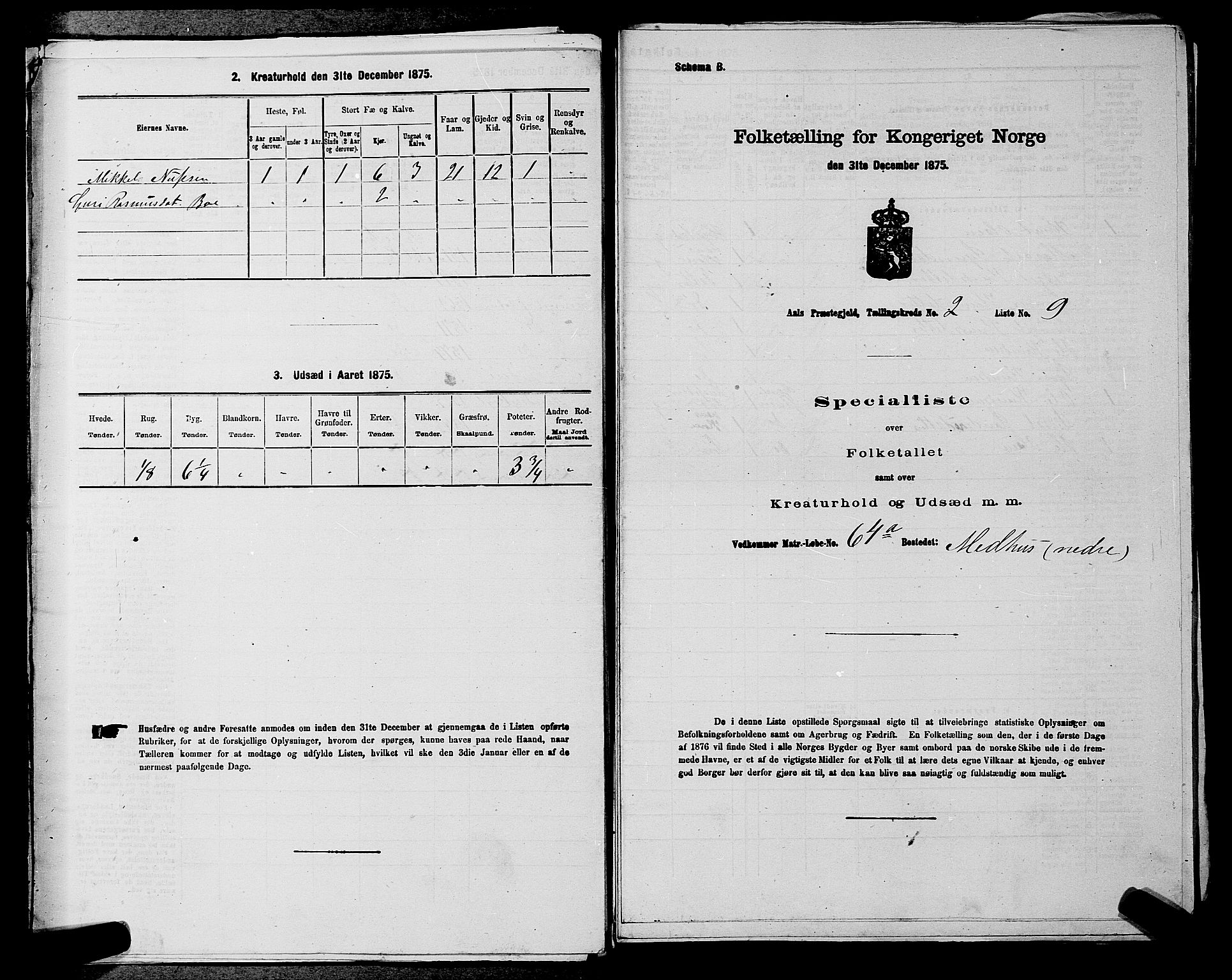 SAKO, 1875 census for 0619P Ål, 1875, p. 246
