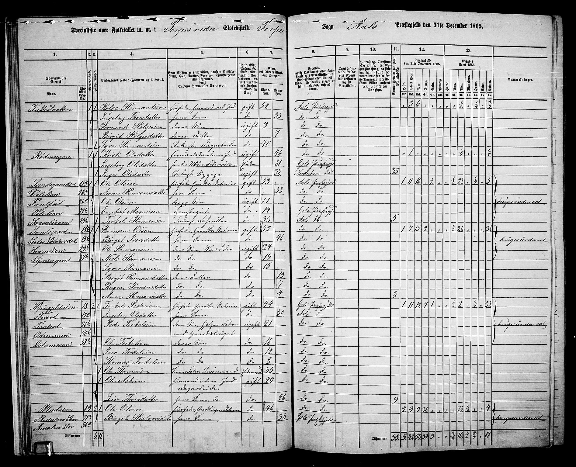 RA, 1865 census for Ål, 1865, p. 29