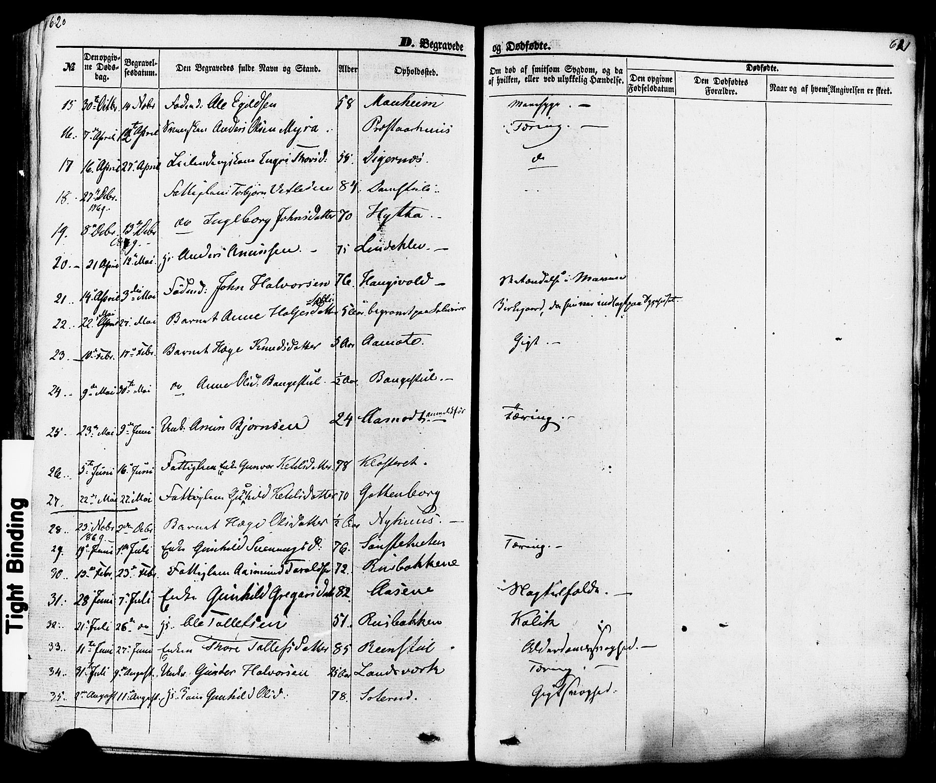 Seljord kirkebøker, AV/SAKO-A-20/F/Fa/L0013: Parish register (official) no. I 13, 1866-1876, p. 620-621