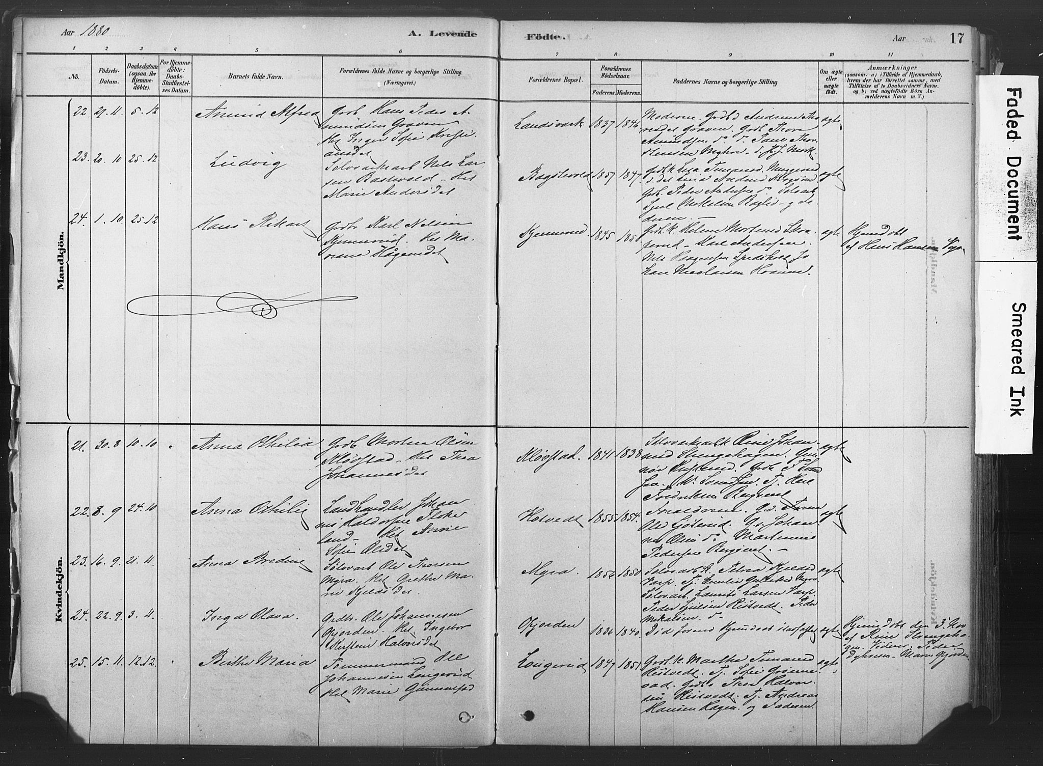 Sandsvær kirkebøker, AV/SAKO-A-244/F/Fd/L0001: Parish register (official) no. IV 1, 1878-1906, p. 17