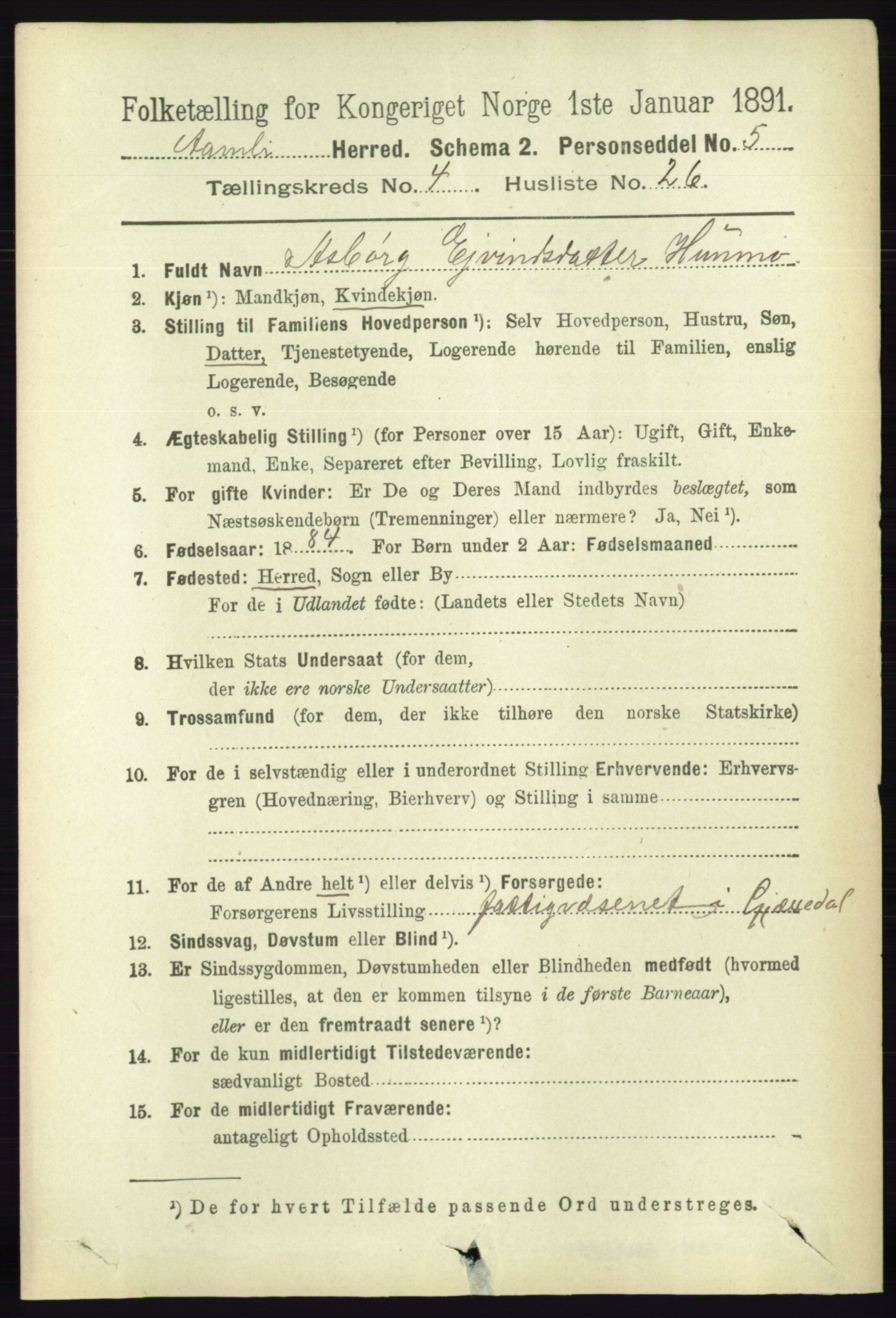 RA, 1891 census for 0929 Åmli, 1891, p. 643