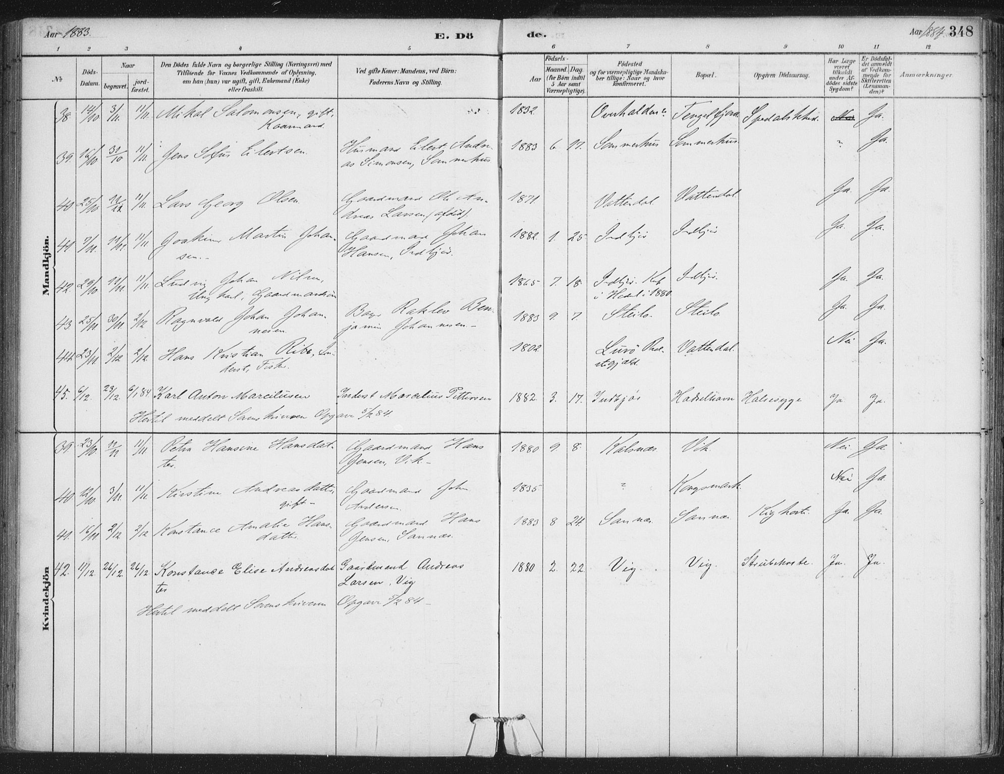 Ministerialprotokoller, klokkerbøker og fødselsregistre - Nordland, AV/SAT-A-1459/888/L1244: Parish register (official) no. 888A10, 1880-1890, p. 348