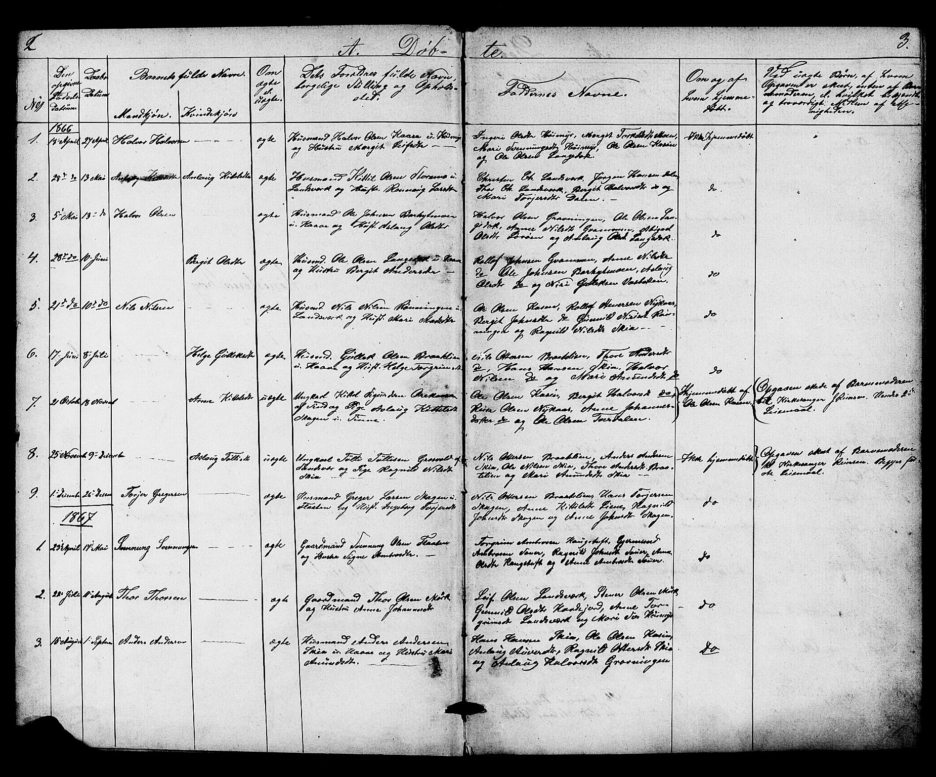 Heddal kirkebøker, SAKO/A-268/G/Gb/L0001: Parish register (copy) no. II 1, 1866-1887, p. 2-3