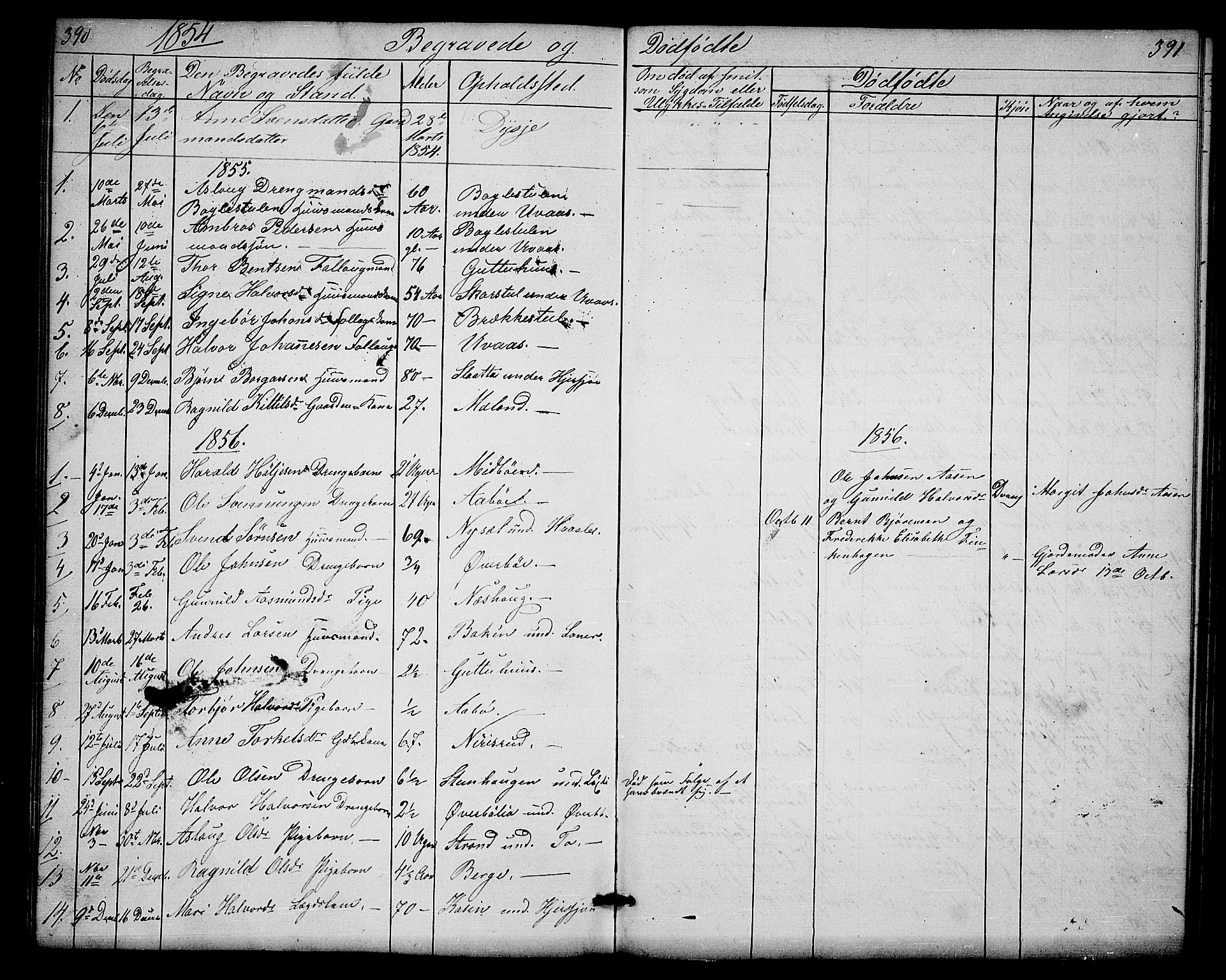Hjartdal kirkebøker, SAKO/A-270/G/Ga/L0002: Parish register (copy) no. I 2, 1854-1888, p. 390-391