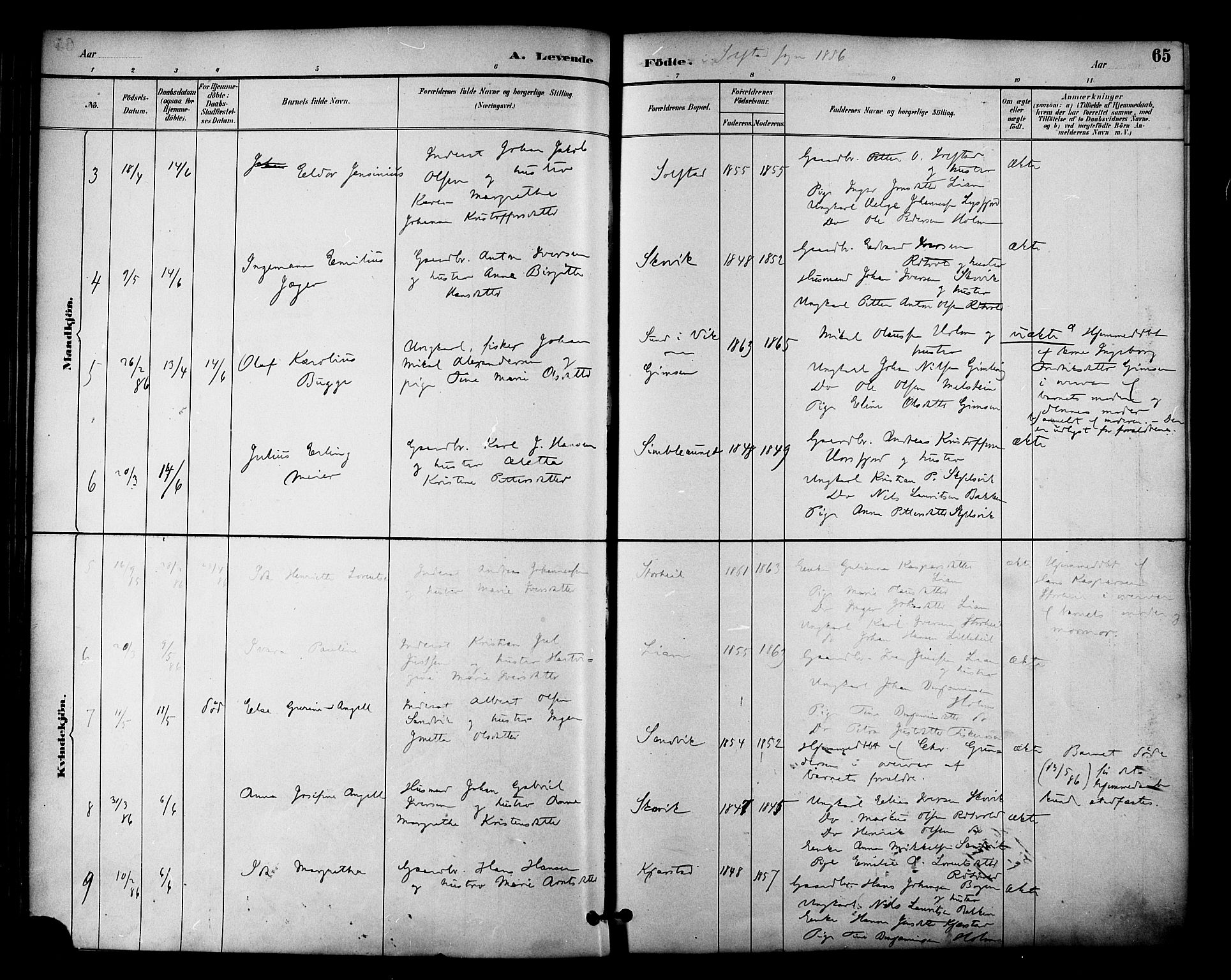 Ministerialprotokoller, klokkerbøker og fødselsregistre - Nordland, SAT/A-1459/810/L0151: Parish register (official) no. 810A10 /2, 1885-1895, p. 65