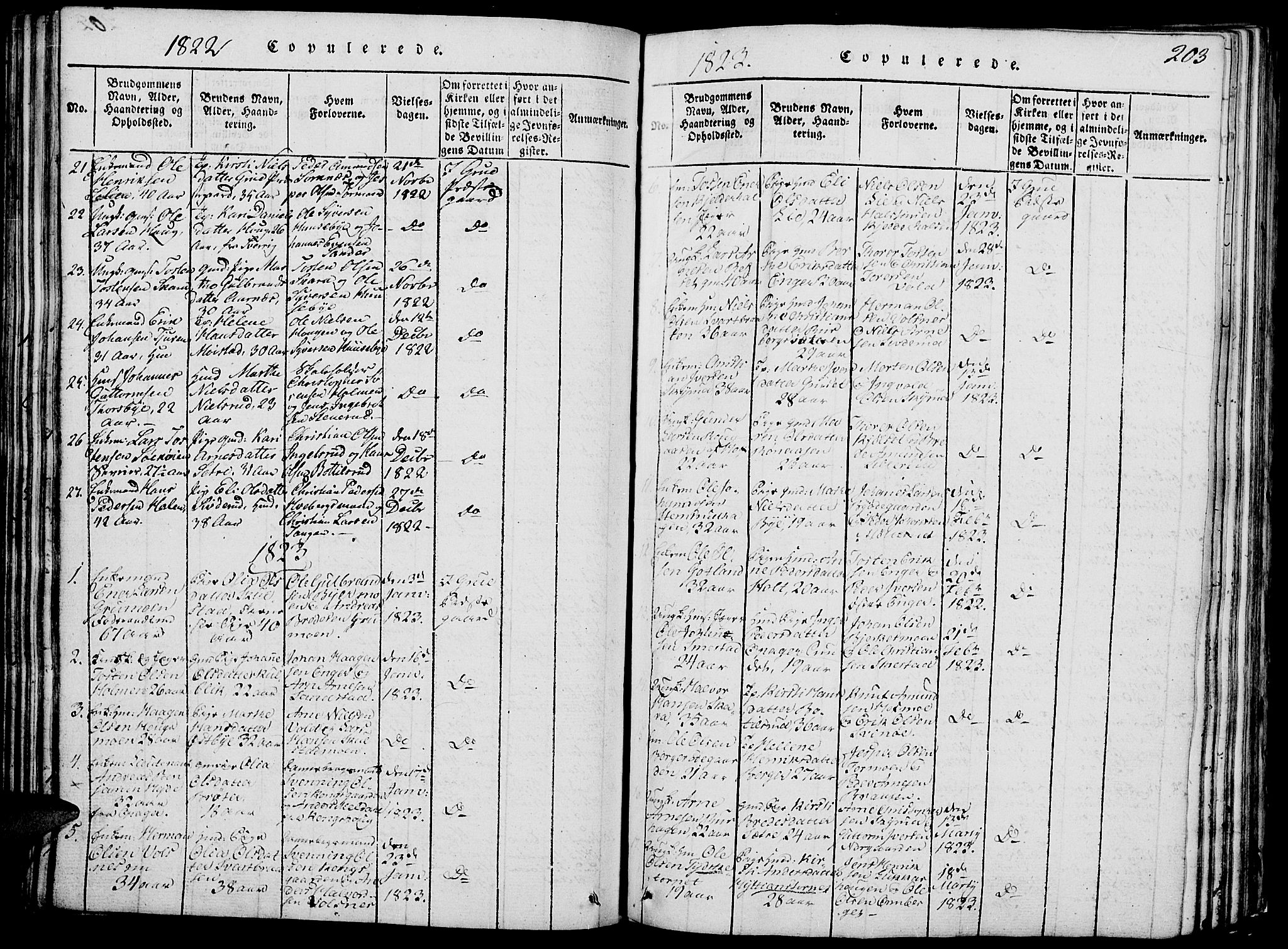 Grue prestekontor, SAH/PREST-036/H/Ha/Hab/L0002: Parish register (copy) no. 2, 1815-1841, p. 203